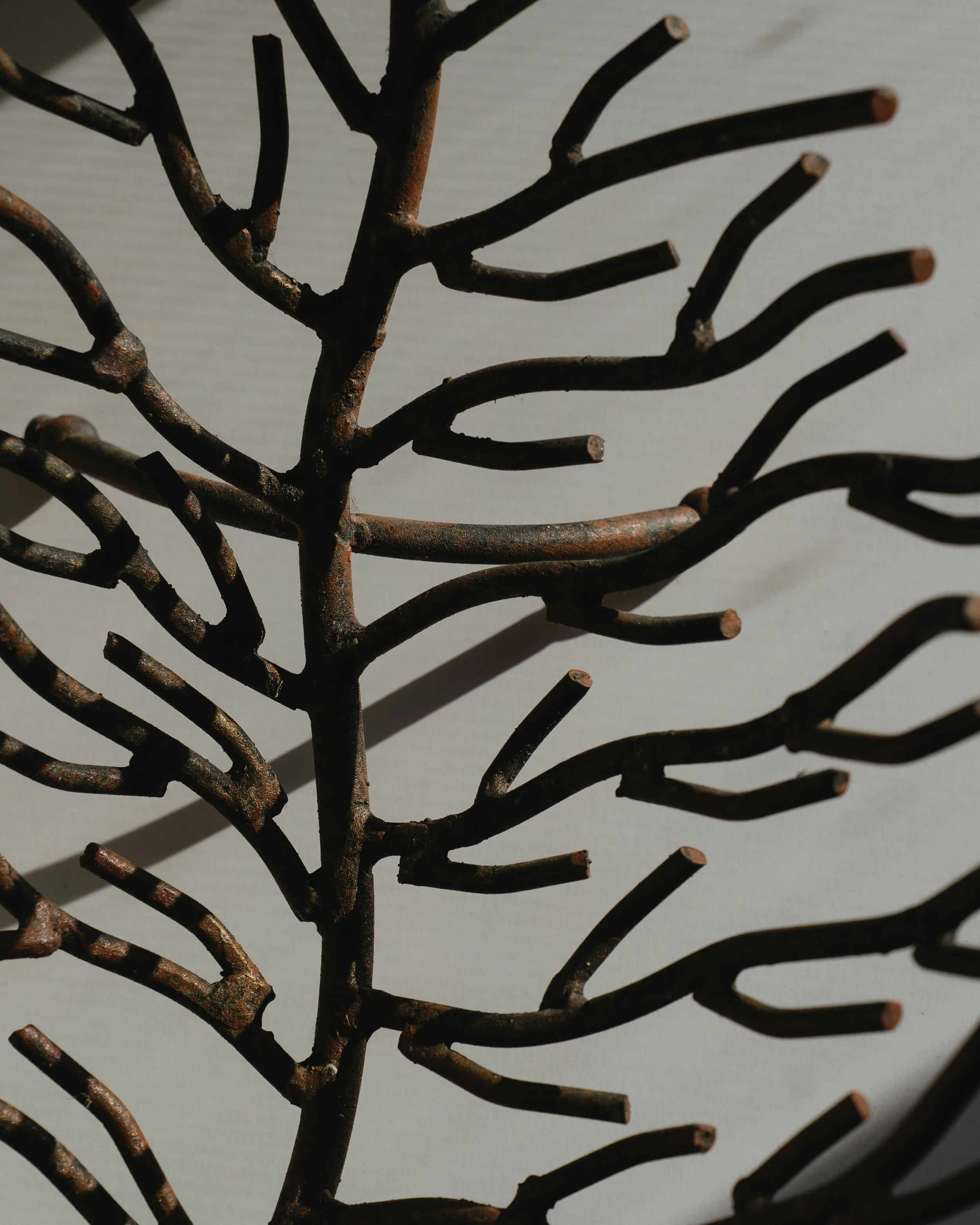 NDP 2026 t42feb-326.jpg