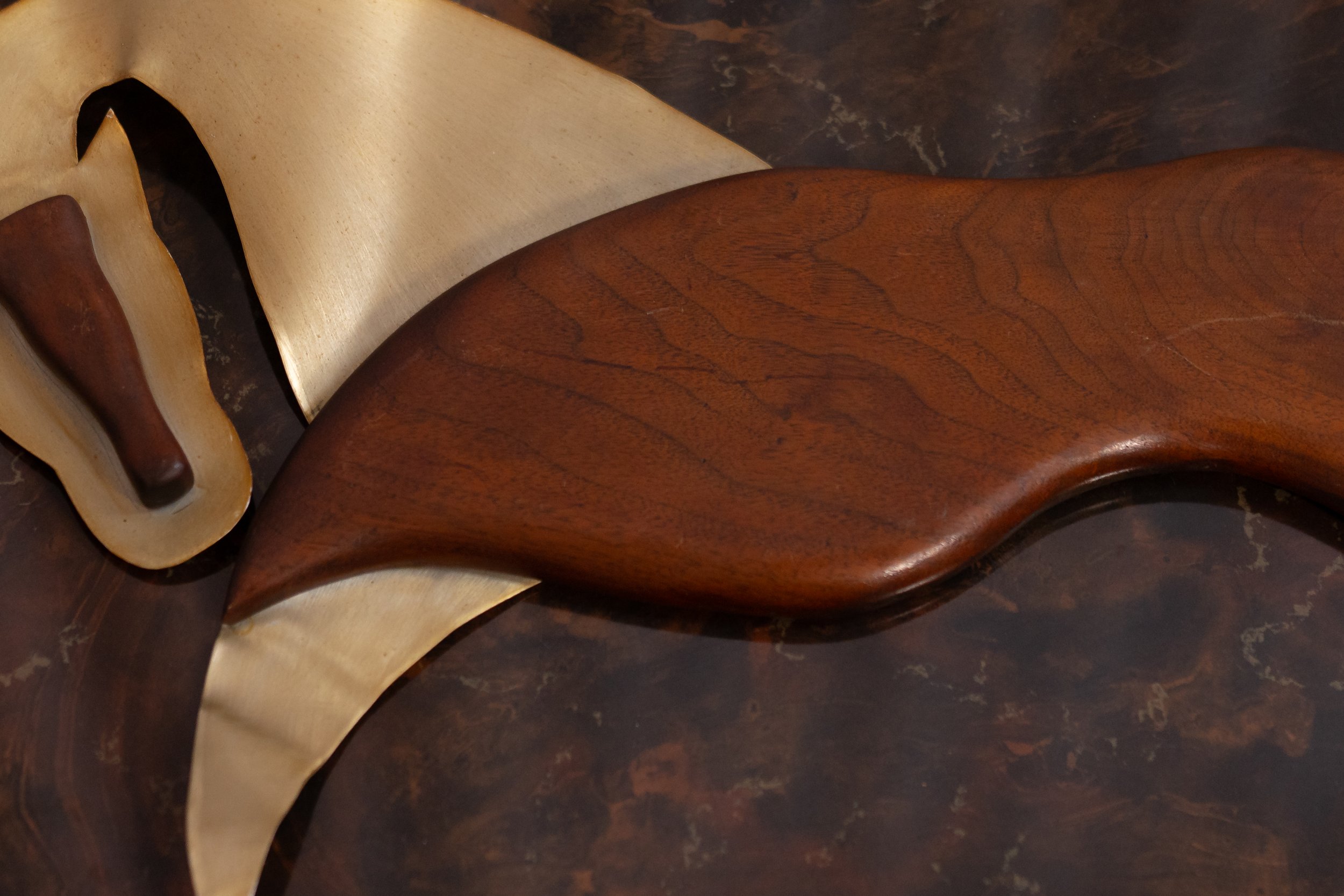 NDP 2026 t42 feb-367.jpg