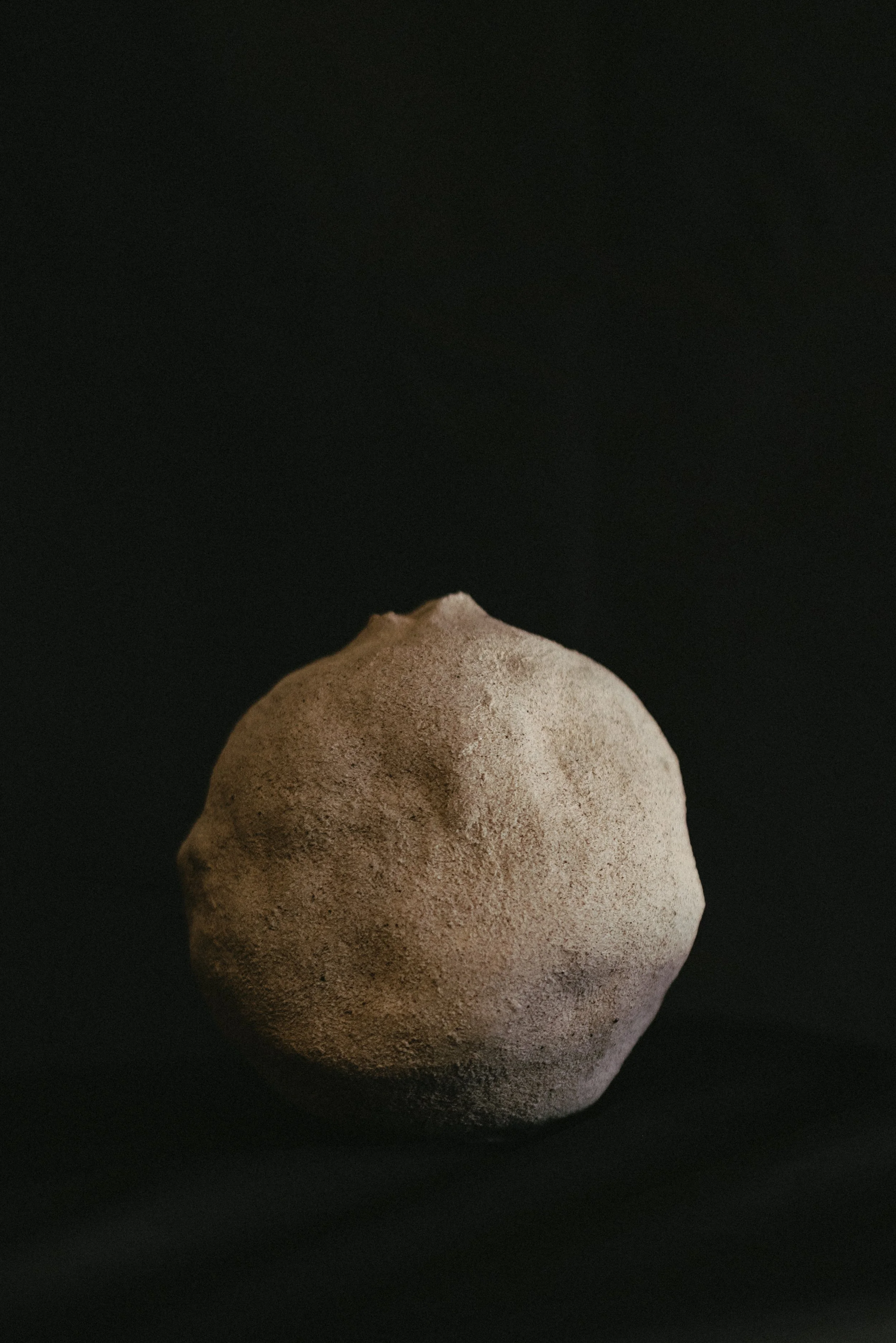 NDP 2026 t42-324.jpg