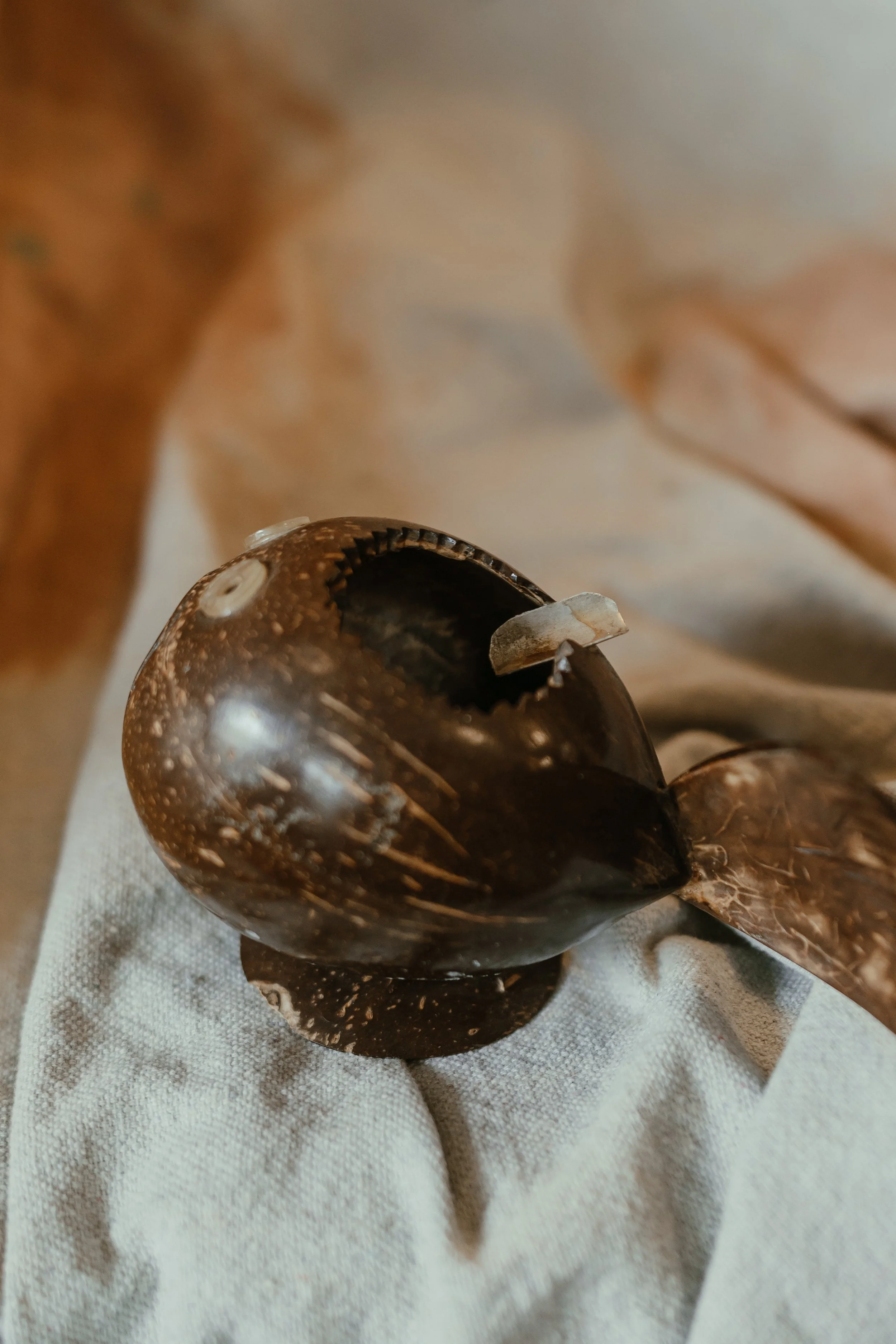 NDP 2026 t42.3.26-390.jpg