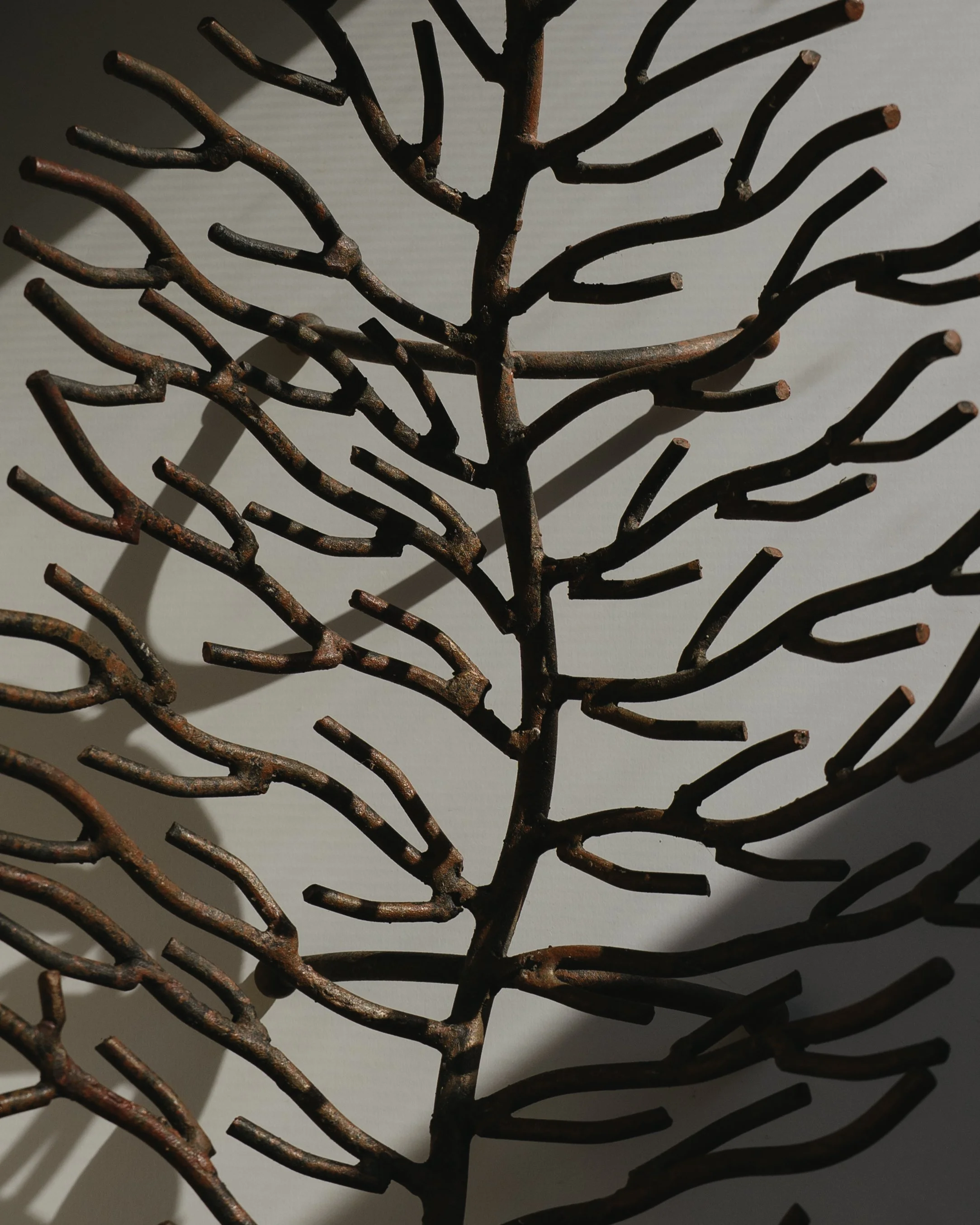 NDP 2026 t42feb-325.jpg