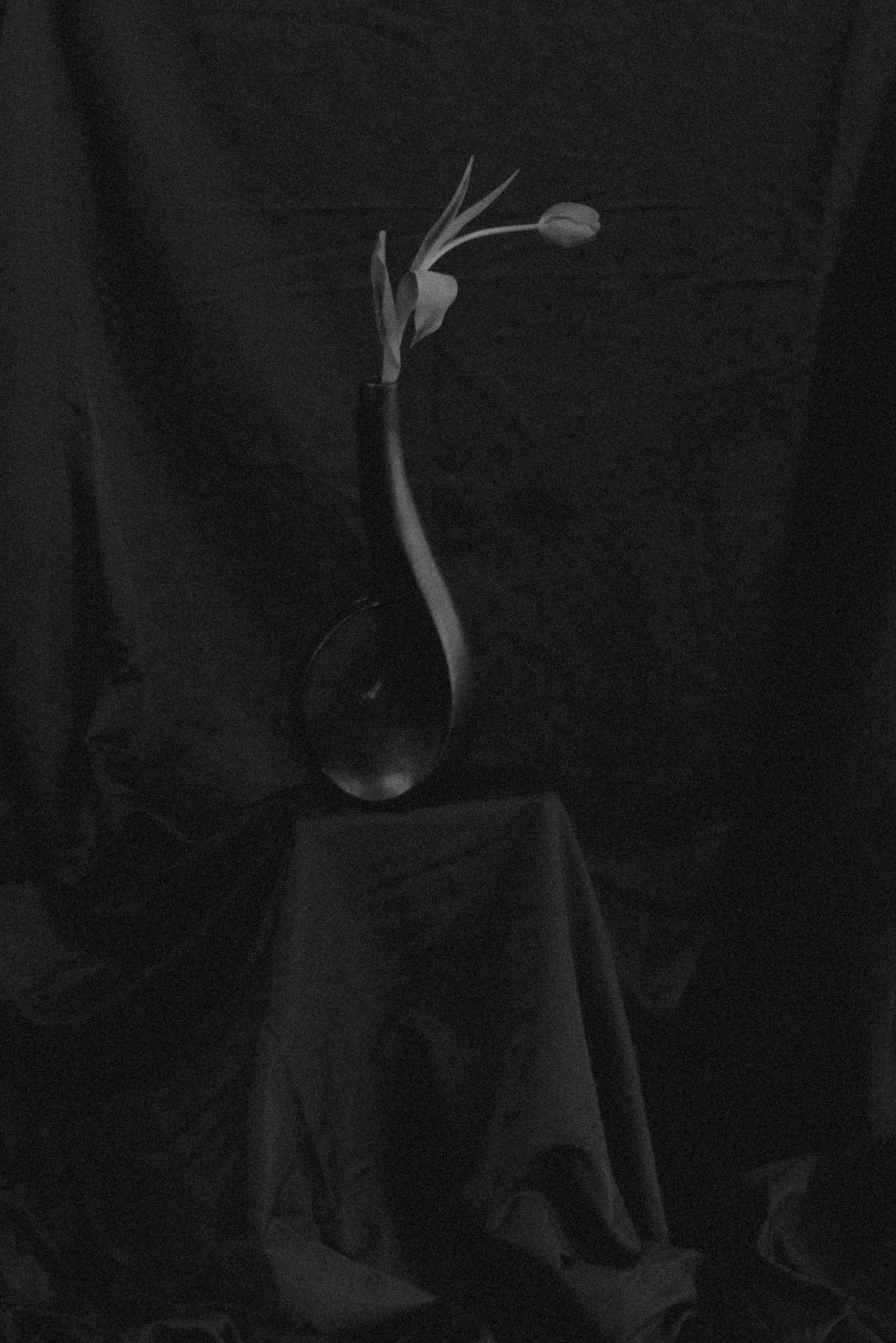 NDP 2026 t42.3.26-334.jpg