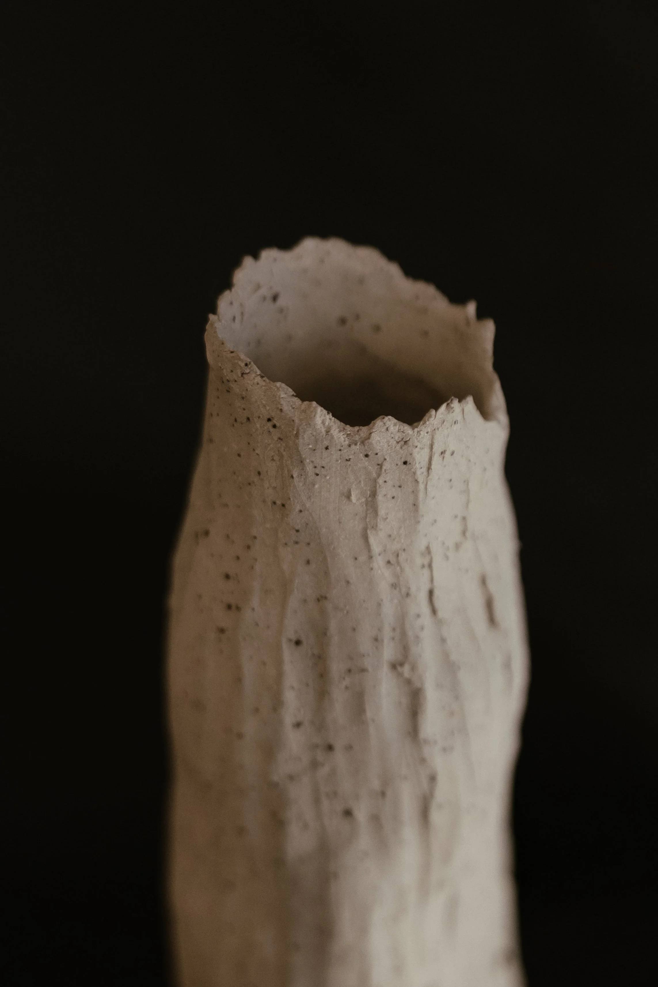 NDP 2026 t42.3.26-358.jpg