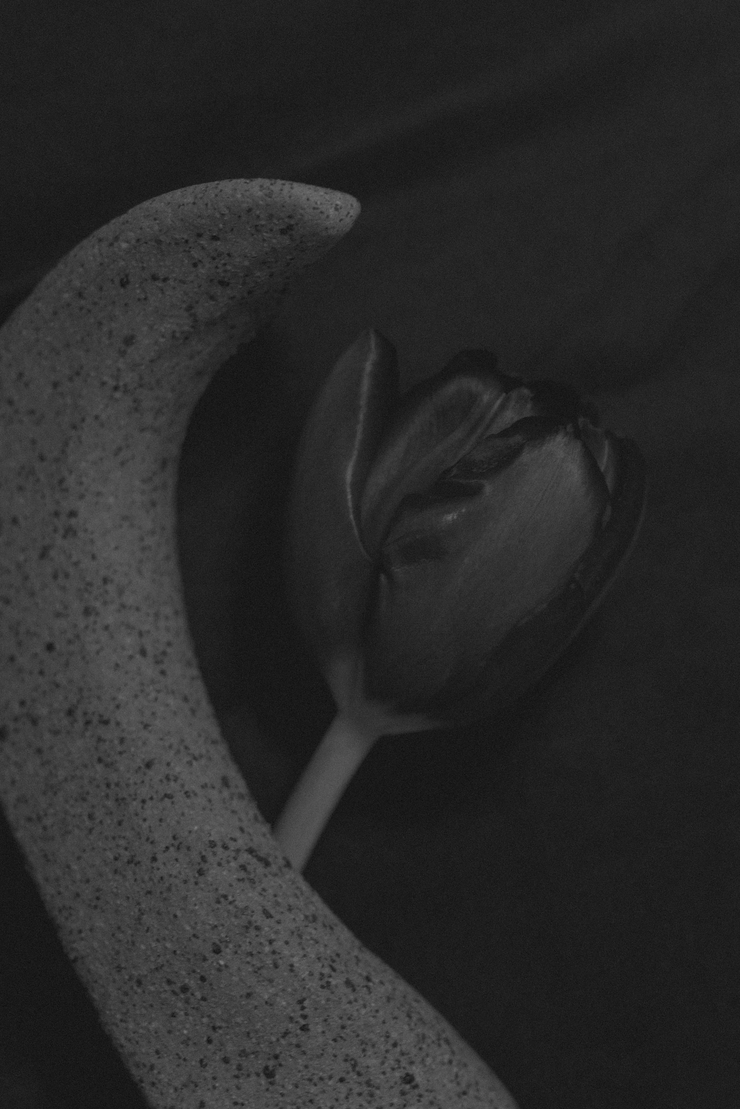 NDP 2026 t42.3.26-367.jpg