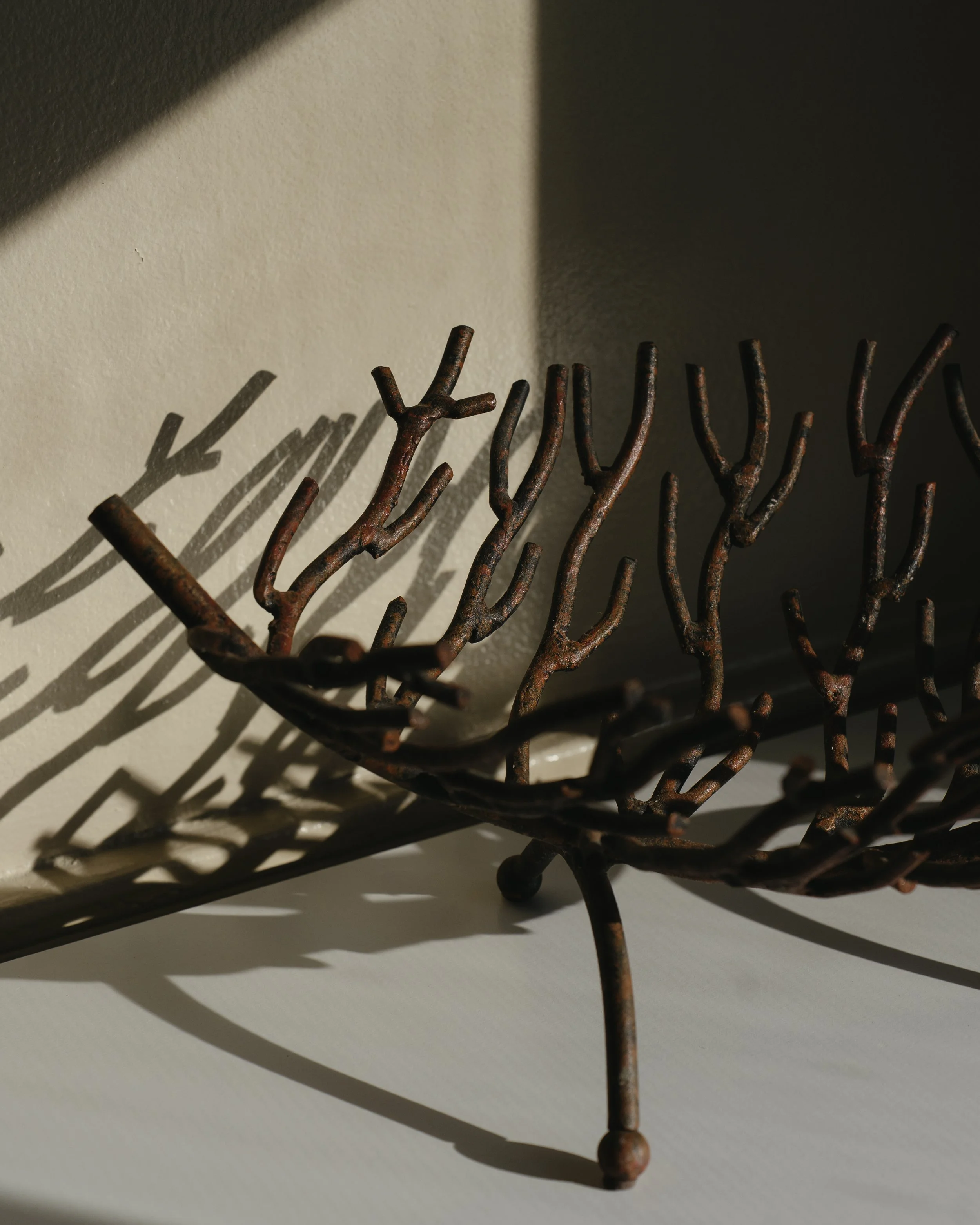 NDP 2026 t42feb-324.jpg