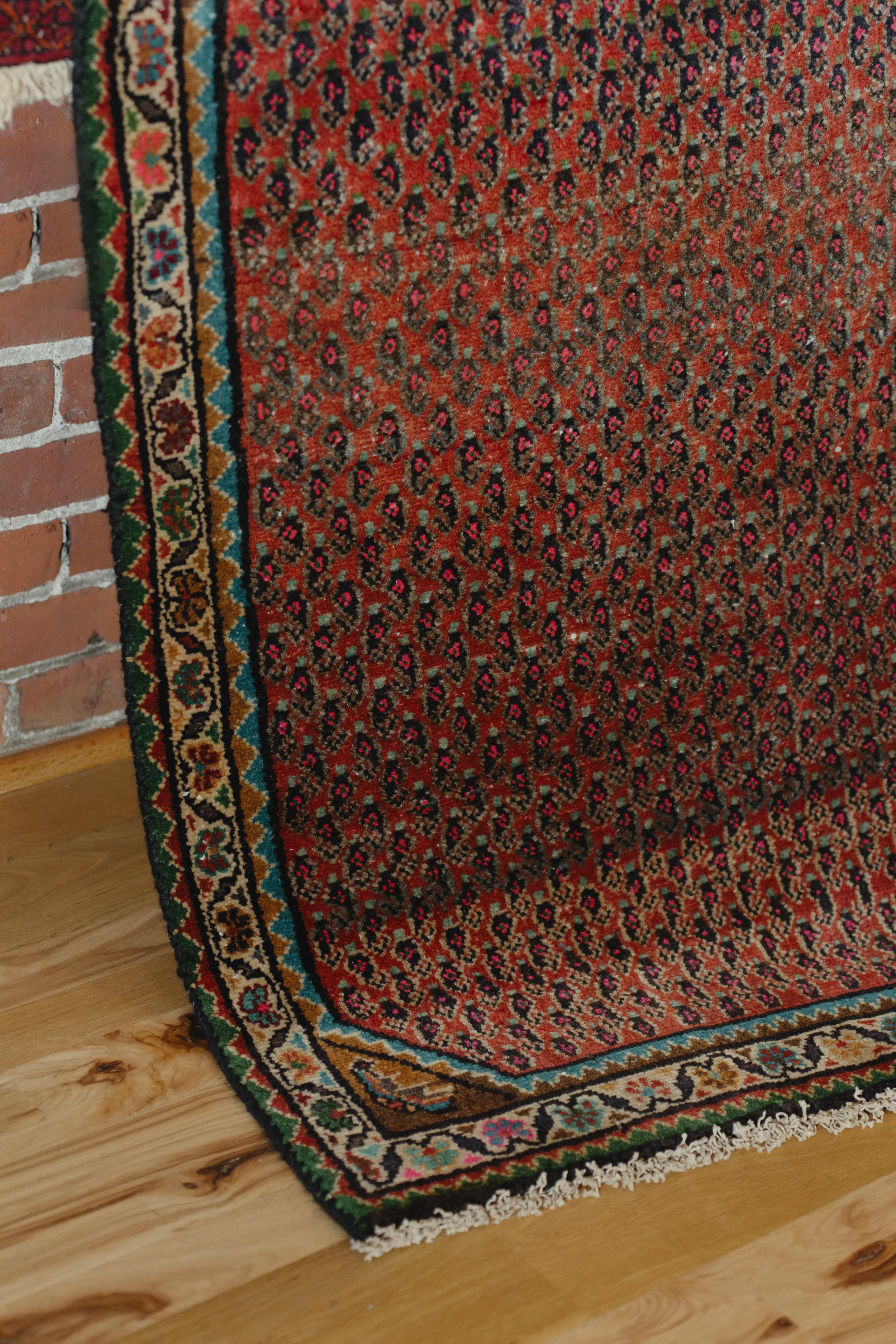 NDP T42 rugs-5.jpg