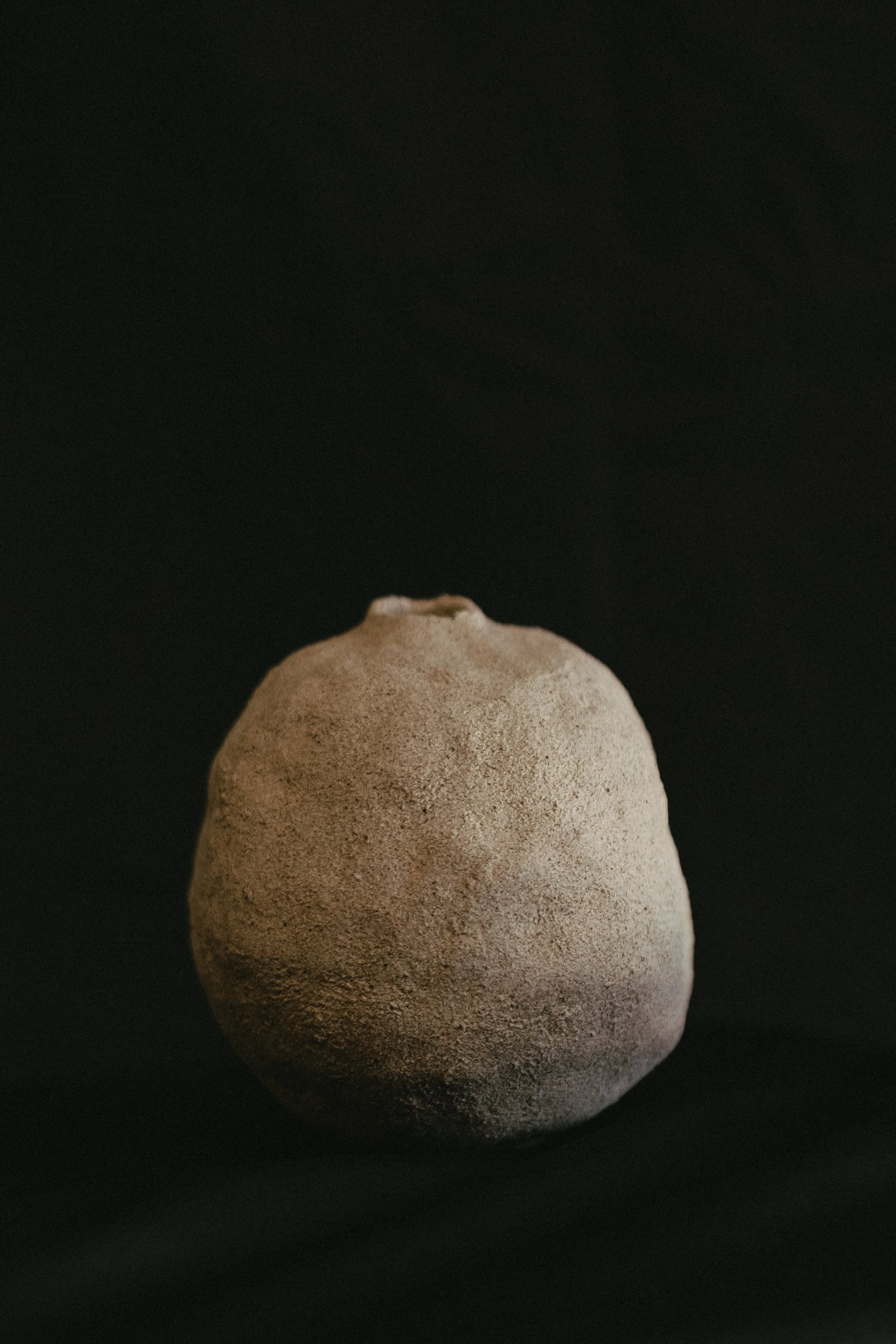 NDP 2026 t42-326.jpg