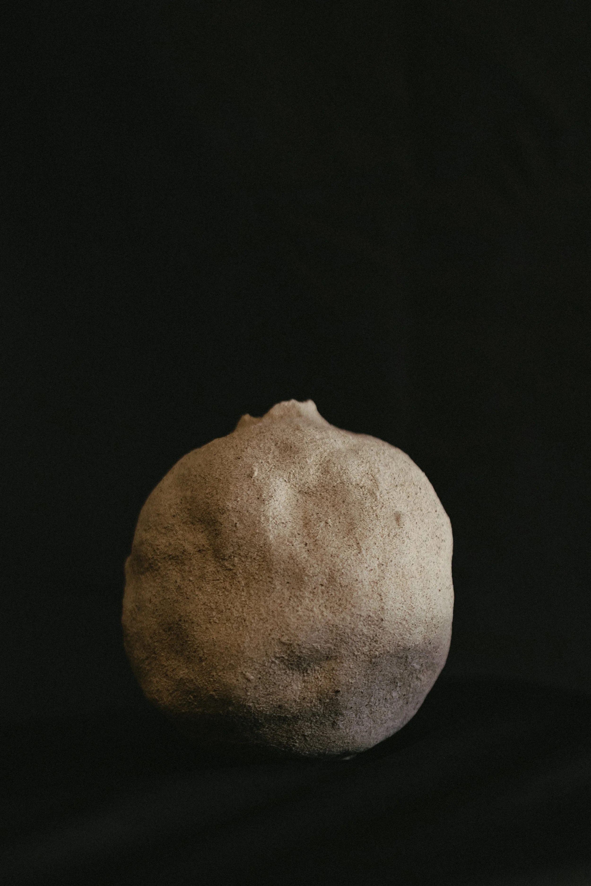 NDP 2026 t42-331.jpg