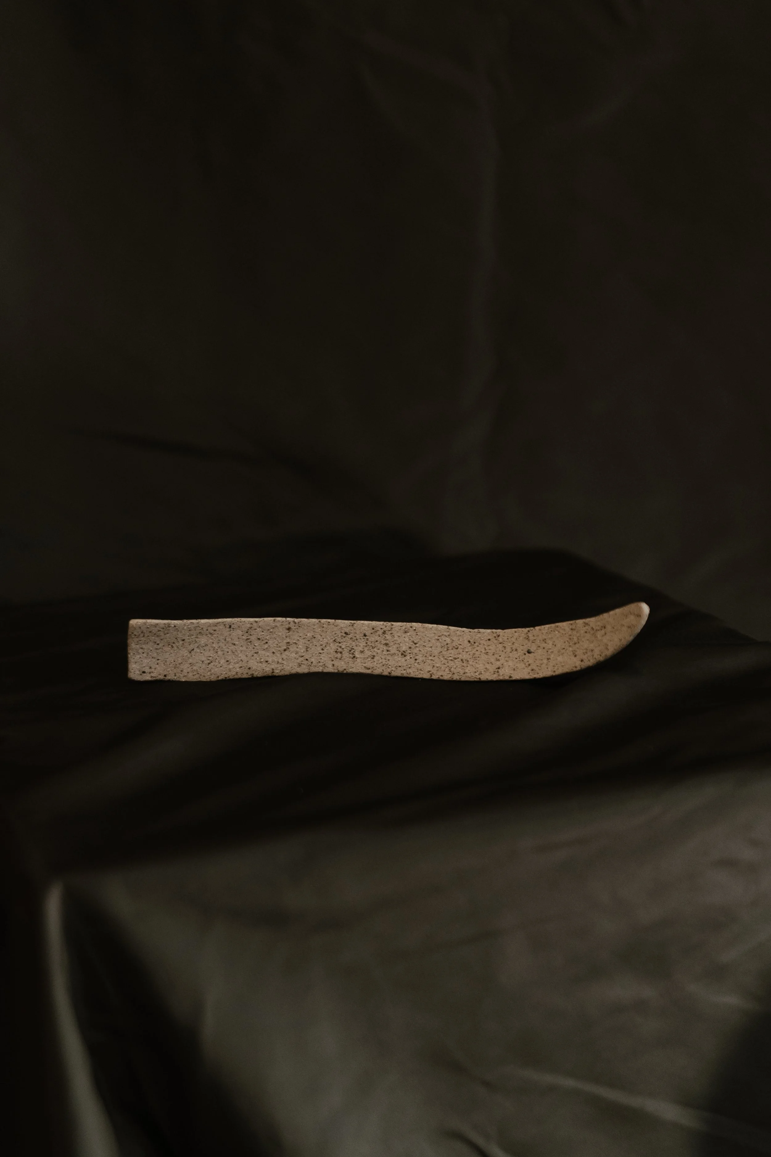 NDP 2026 t42.3.26-361.jpg