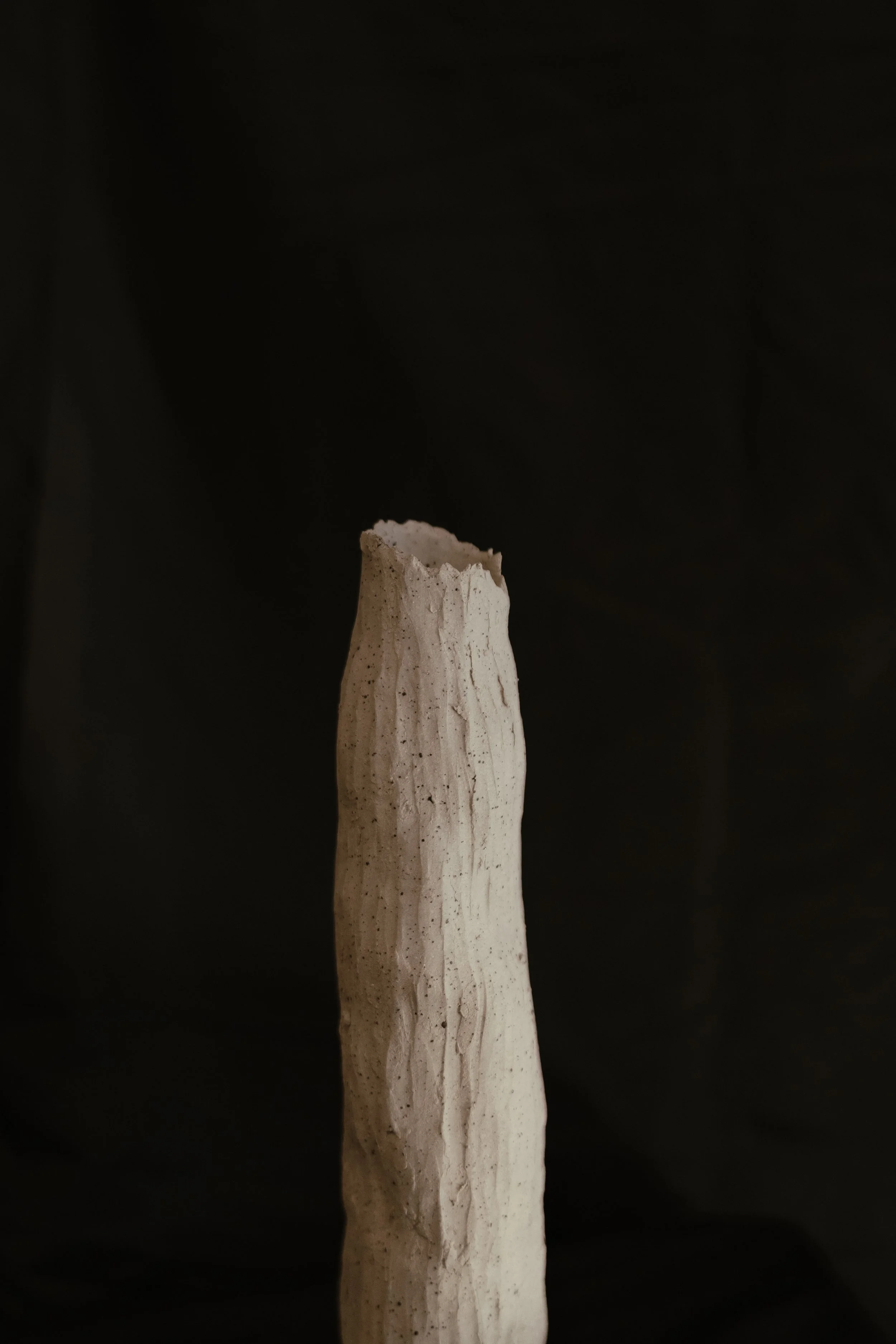 NDP 2026 t42.3.26-355.jpg