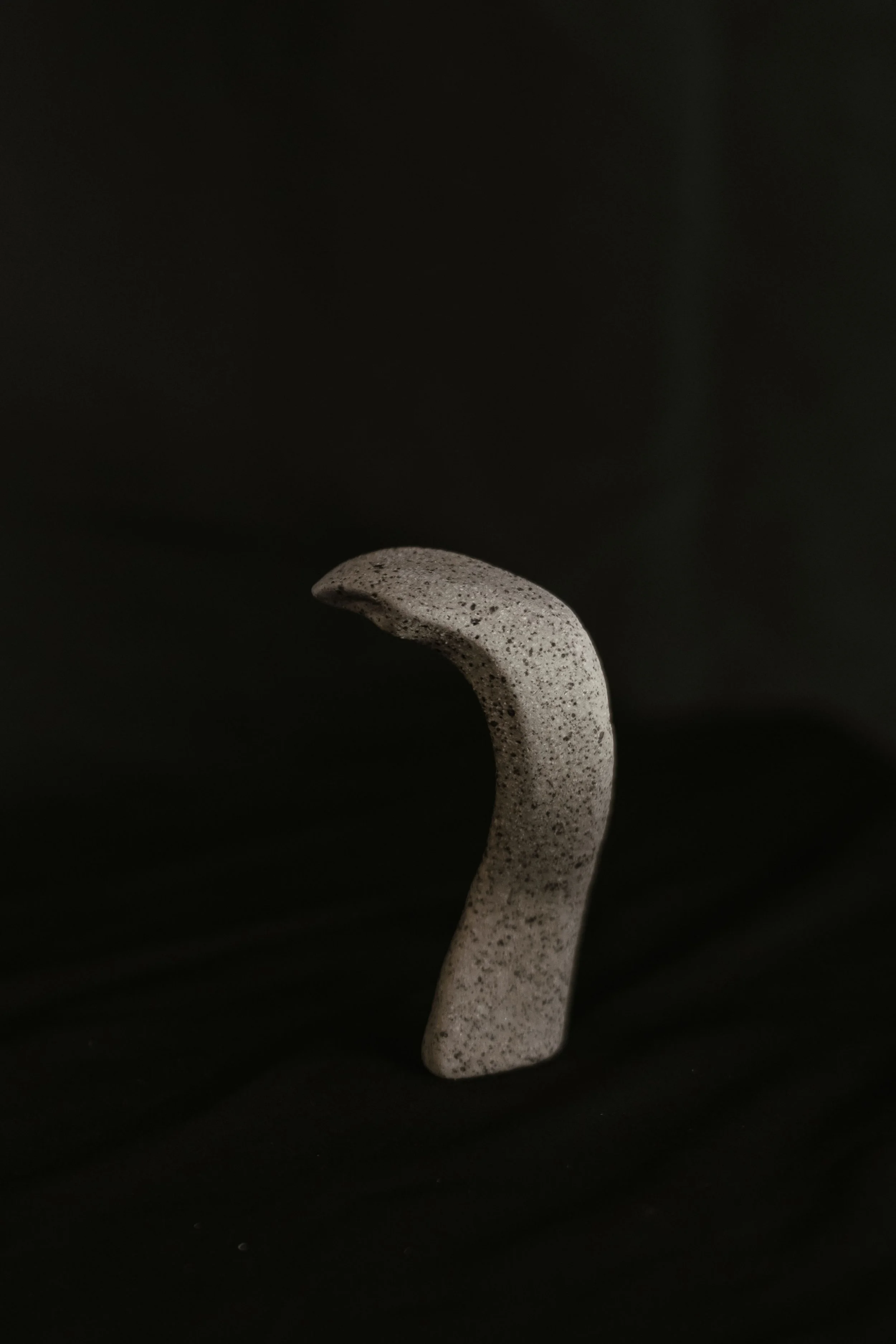 NDP 2026 t42.3.26-363.jpg