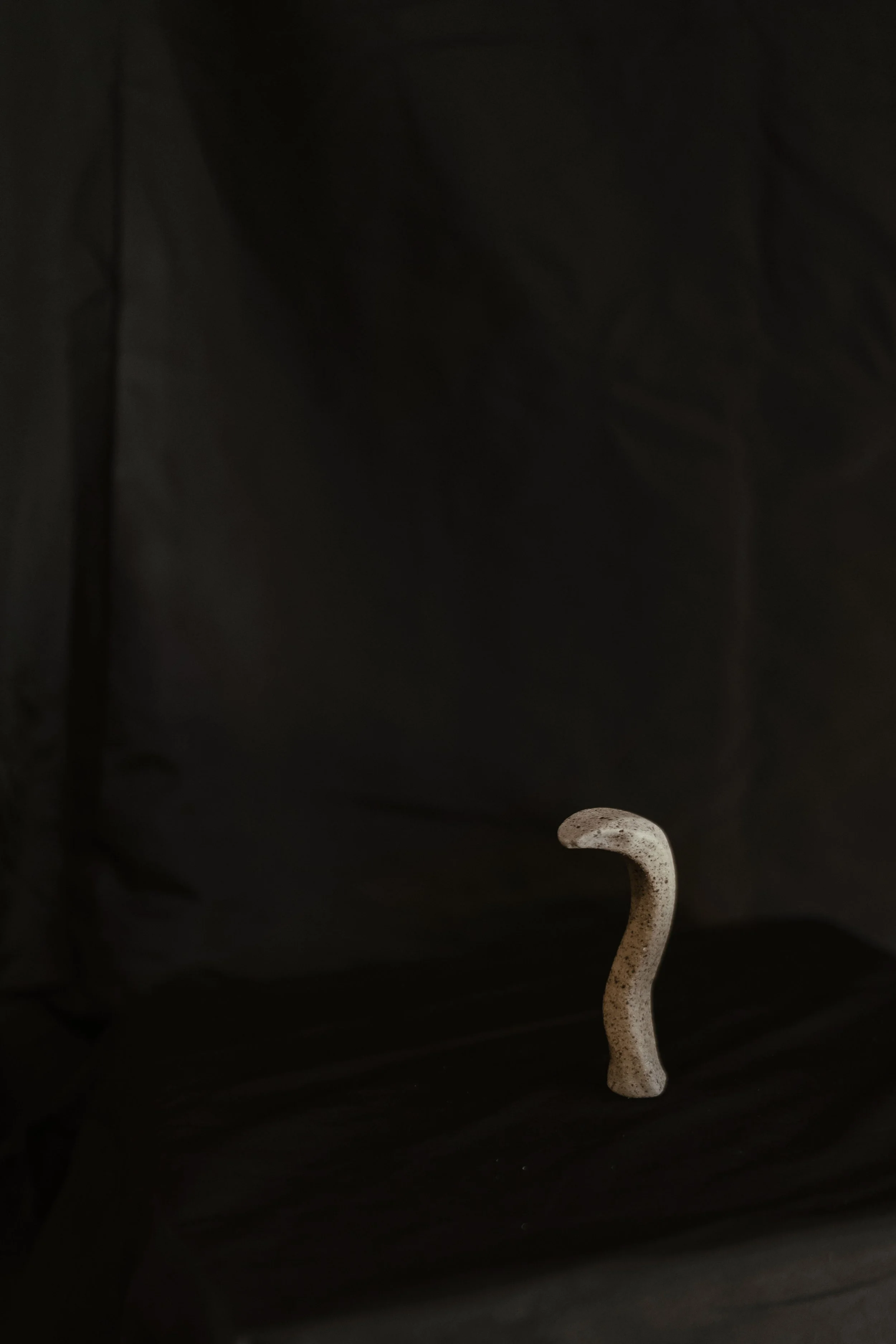 NDP 2026 t42.3.26-364.jpg