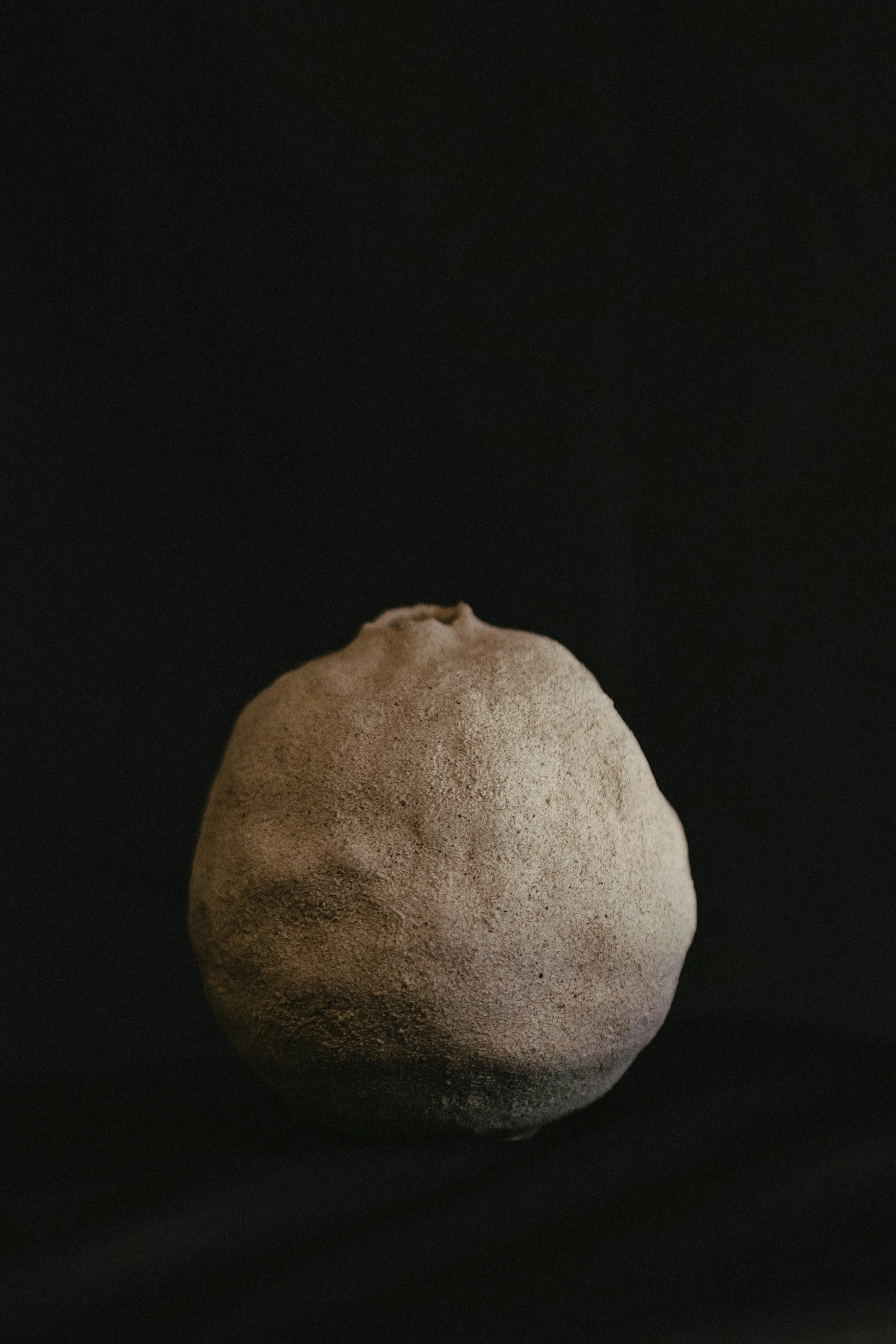 NDP 2026 t42-325.jpg