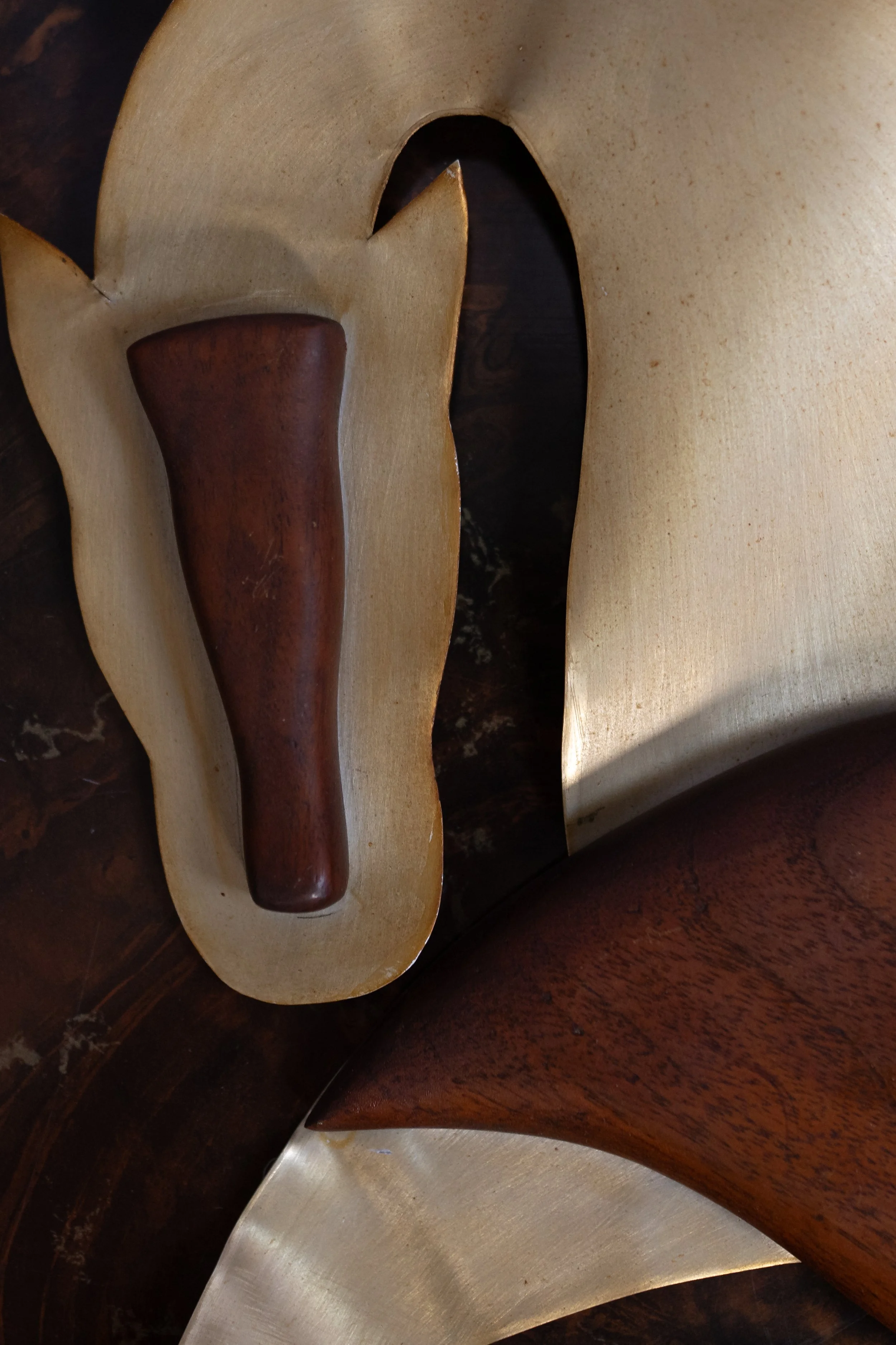 NDP 2026 t42 feb-368.jpg