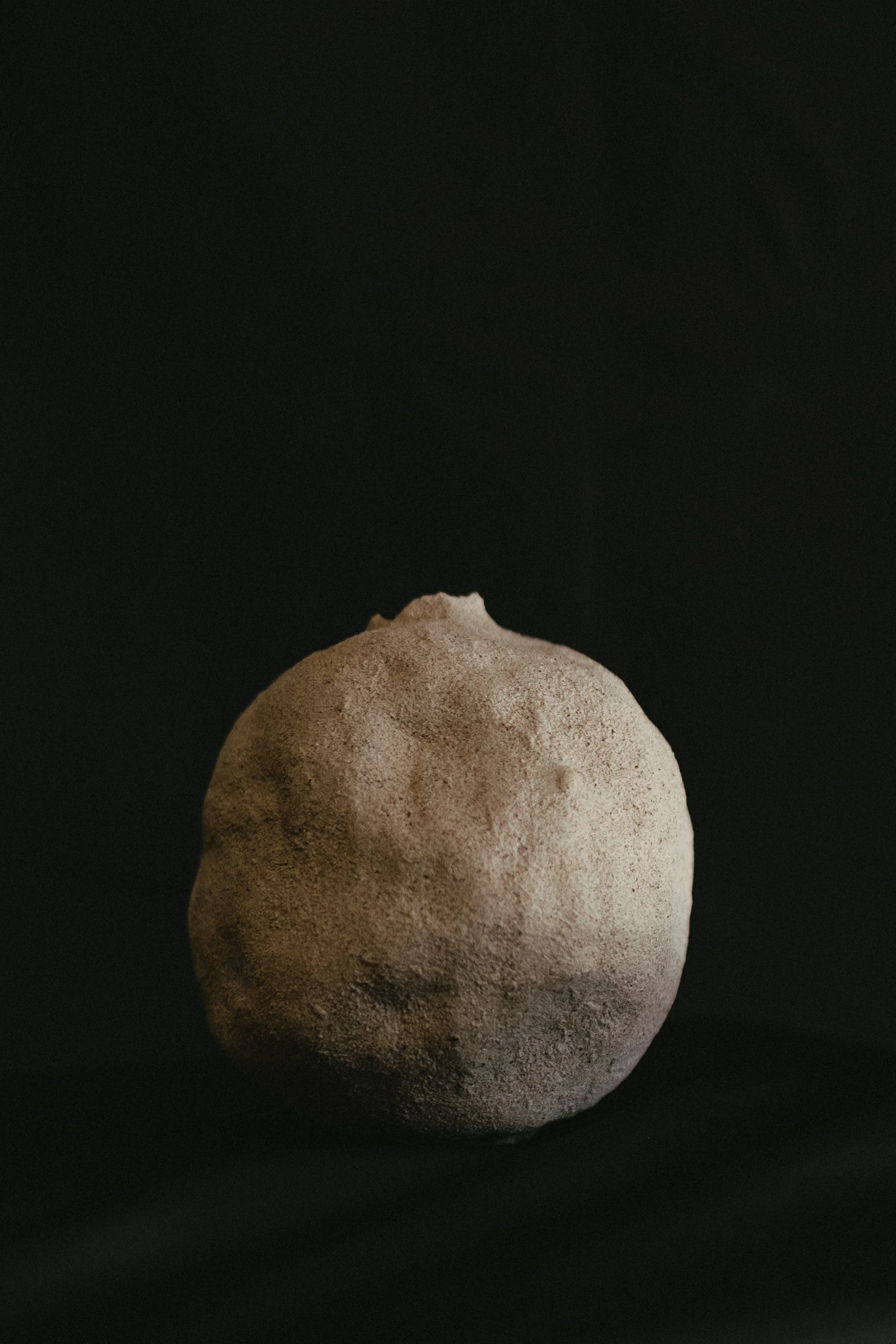 NDP 2026 t42-323.jpg