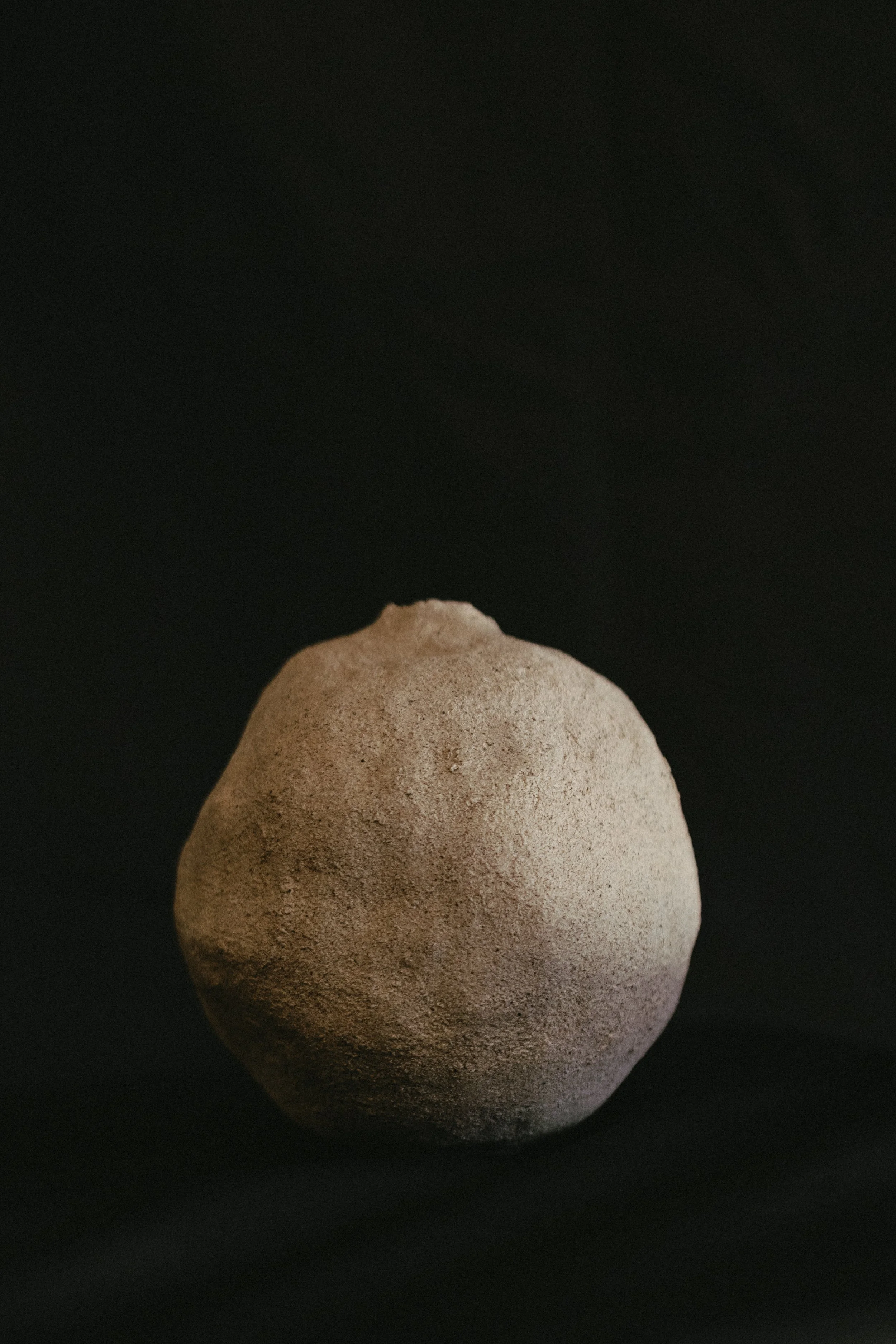 NDP 2026 t42-329.jpg