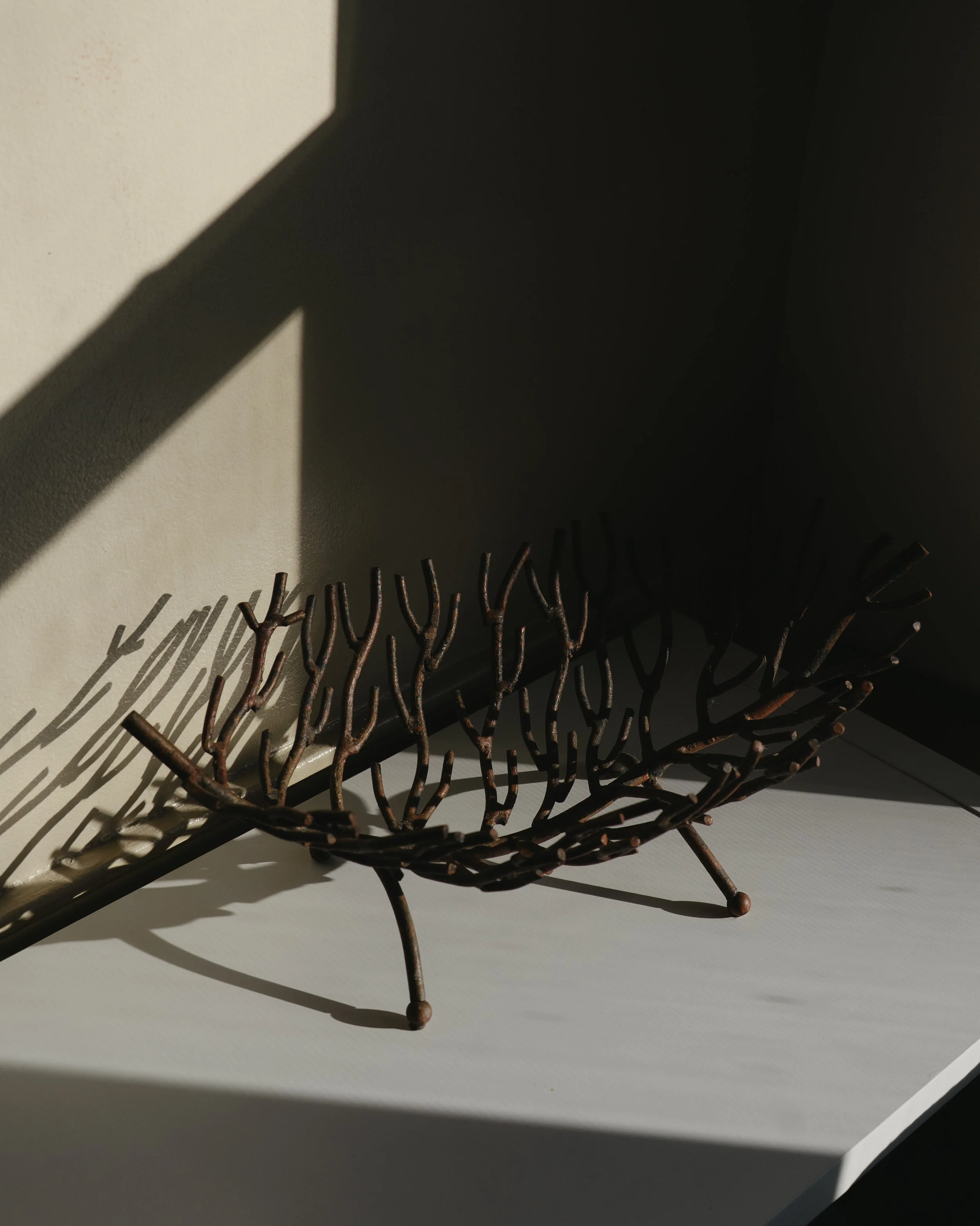 NDP 2026 t42feb-323.jpg