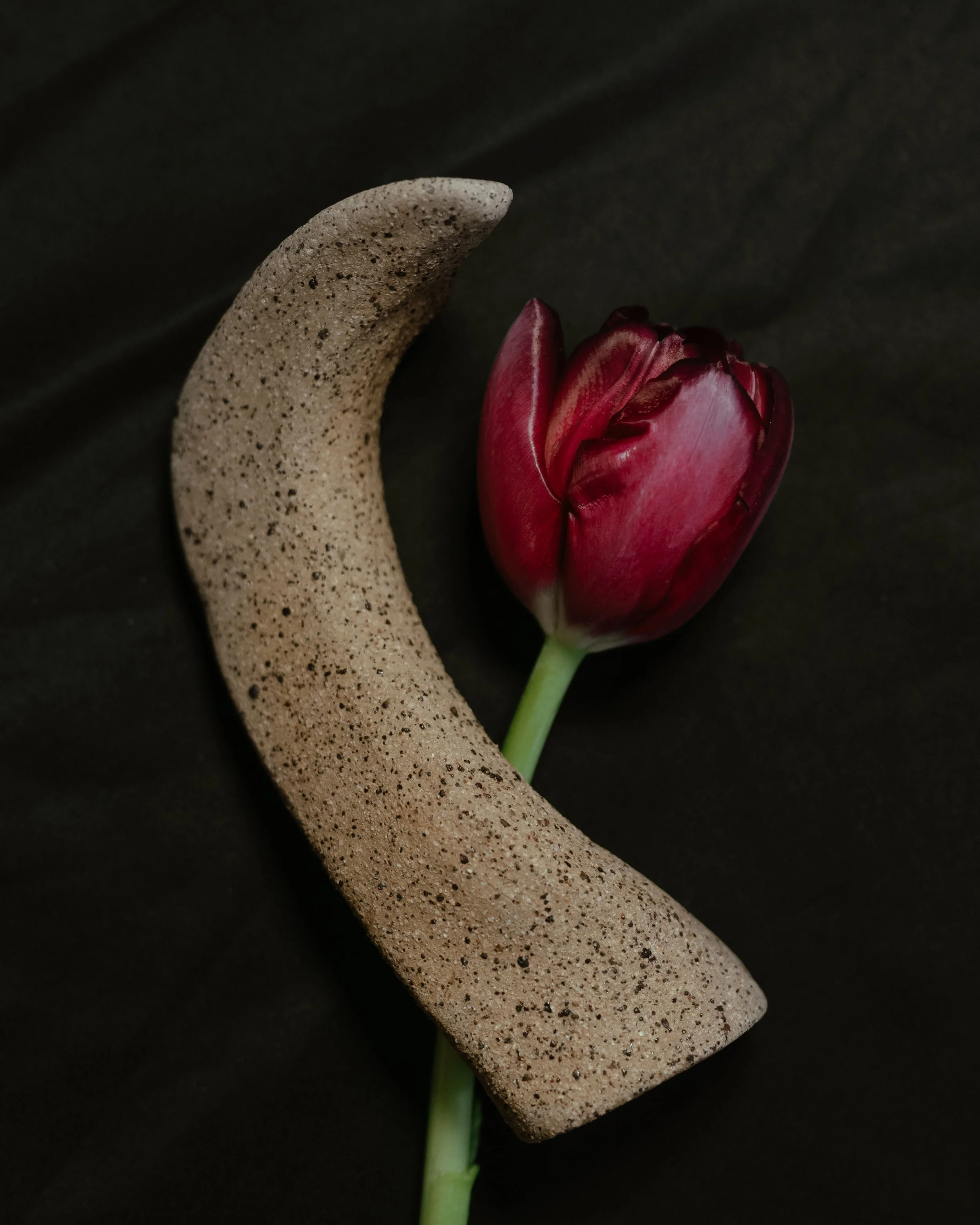 NDP 2026 t42.3.26-365.jpg