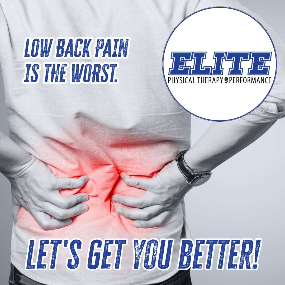 Low Back Pain: Causes and How Physical Therapy Can Help