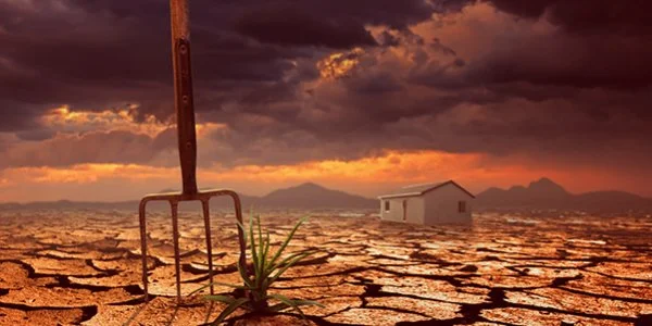 A Lesson From Aloes by Athol Fugard. The Finborough Theatre, London SW10.  3*** William Russell