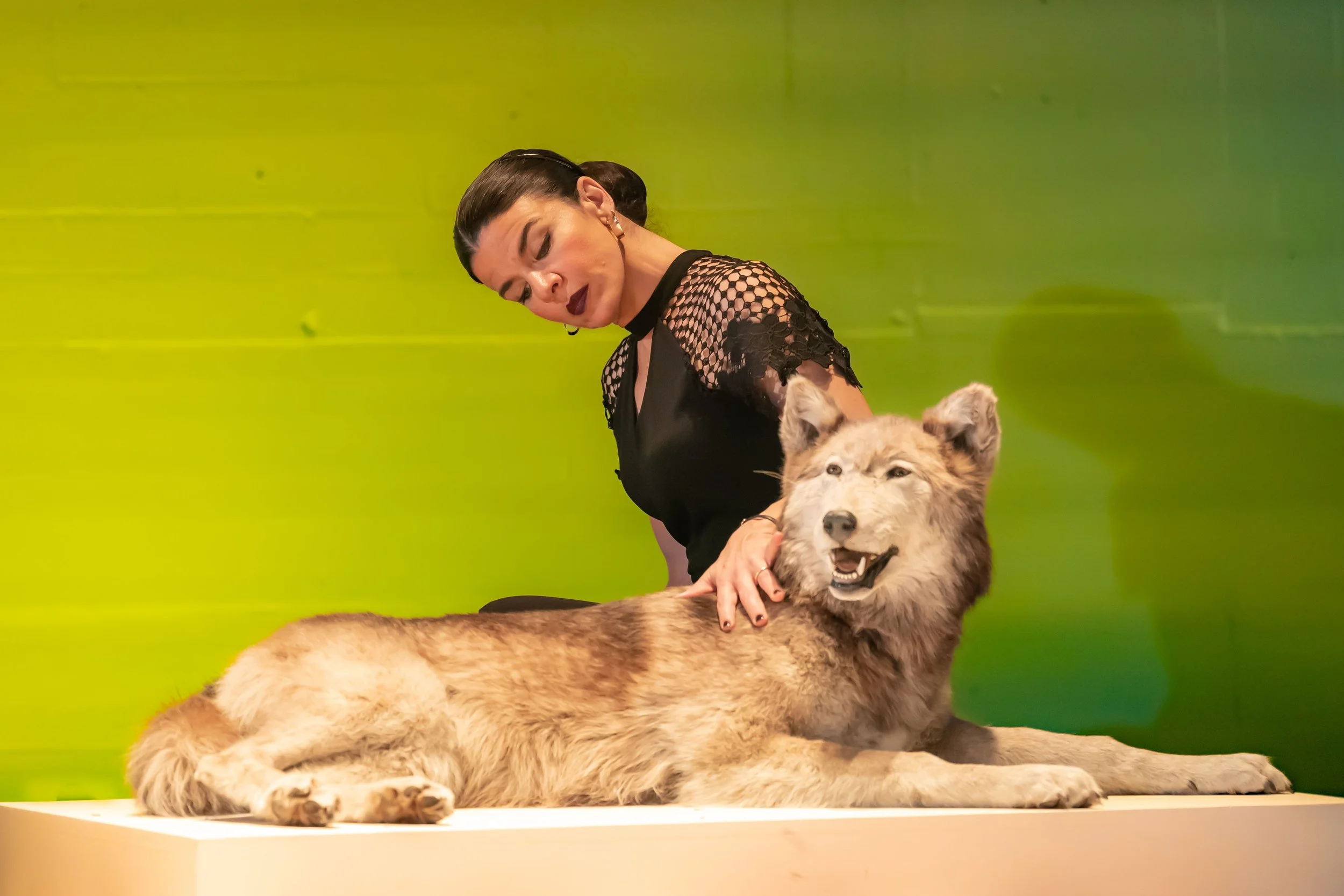 Britannicus by Jean Racine translated and adpated by Timberlake Wertenbaker. The Lyric Theatre, Hammersmith to 25 Hune 2022. 3***. William Russell.