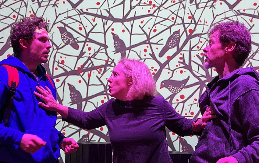 The Murmuration of Starlings by Joe Graham, Seven Dials Playhouse, 1A Tower Street, London WC2H | until 14 March 2026  ⭐⭐⭐  Review by William Russell