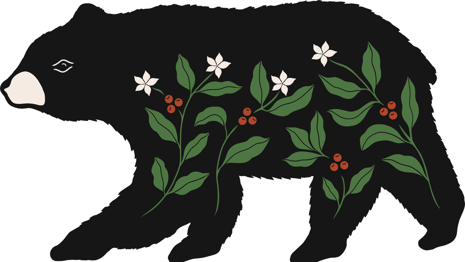 Bear House Coffee Roasters