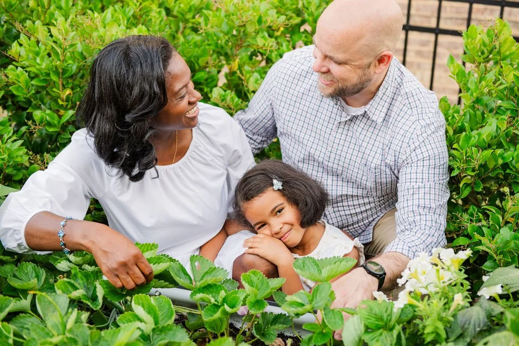 Harvested Gardens works with clients to create their dream vegetable garden