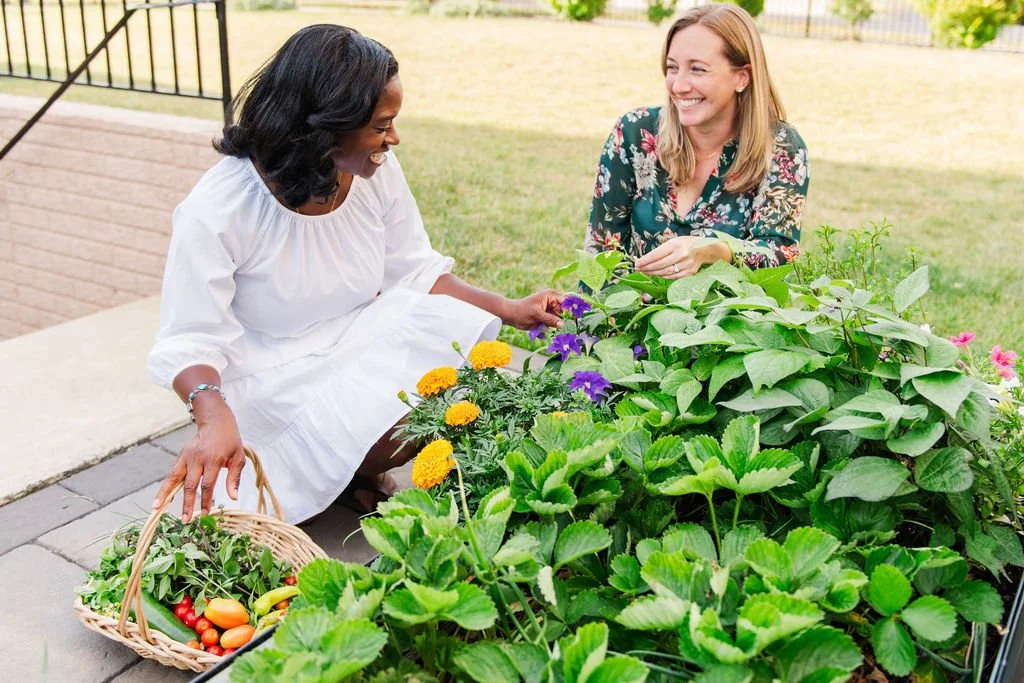 Harvested Gardens provides garden coaching services that teach you how to grow vegetables and herbs successfully 