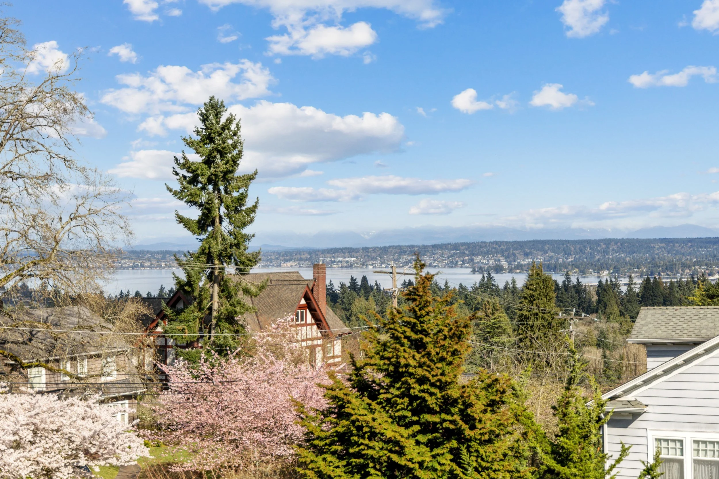 A scenic view of a residential neighborhood with houses, trees, and a view of a large body of water in the distance under a partly cloudy sky.