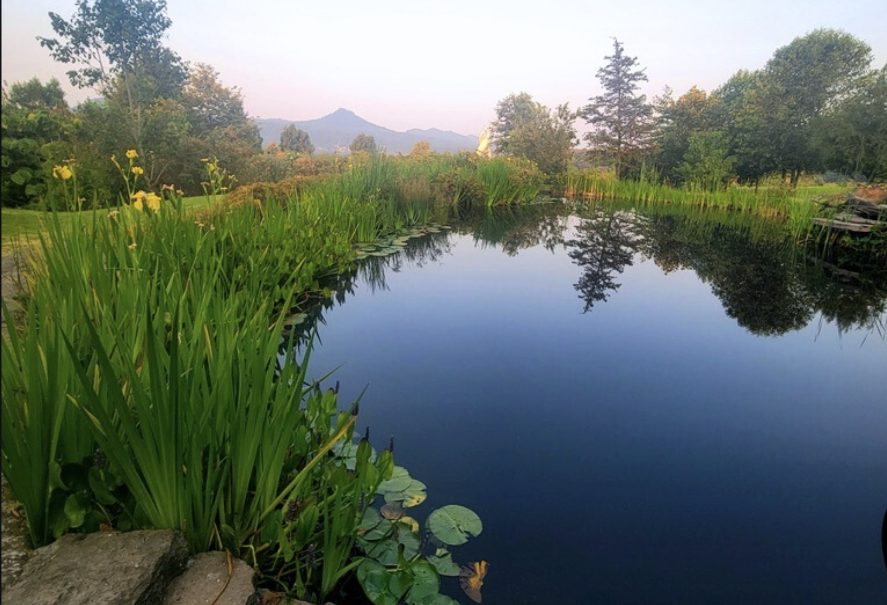 Screenshot 2026-01-22 at 3.53.19 PM.png