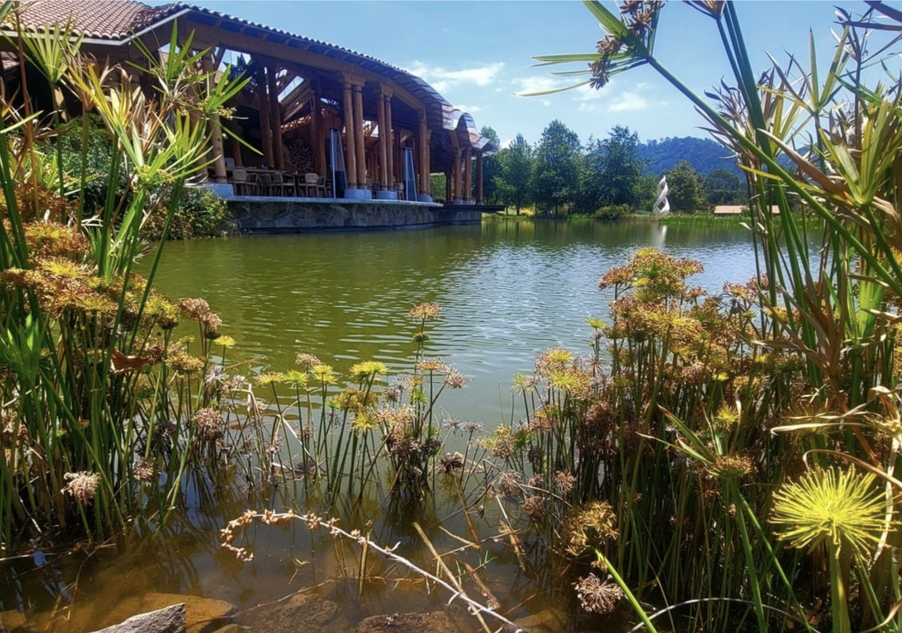 Screenshot 2026-01-22 at 3.53.10 PM.png