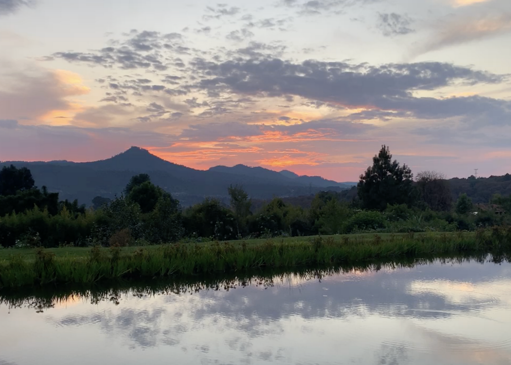 Screenshot 2026-01-22 at 3.54.06 PM.png