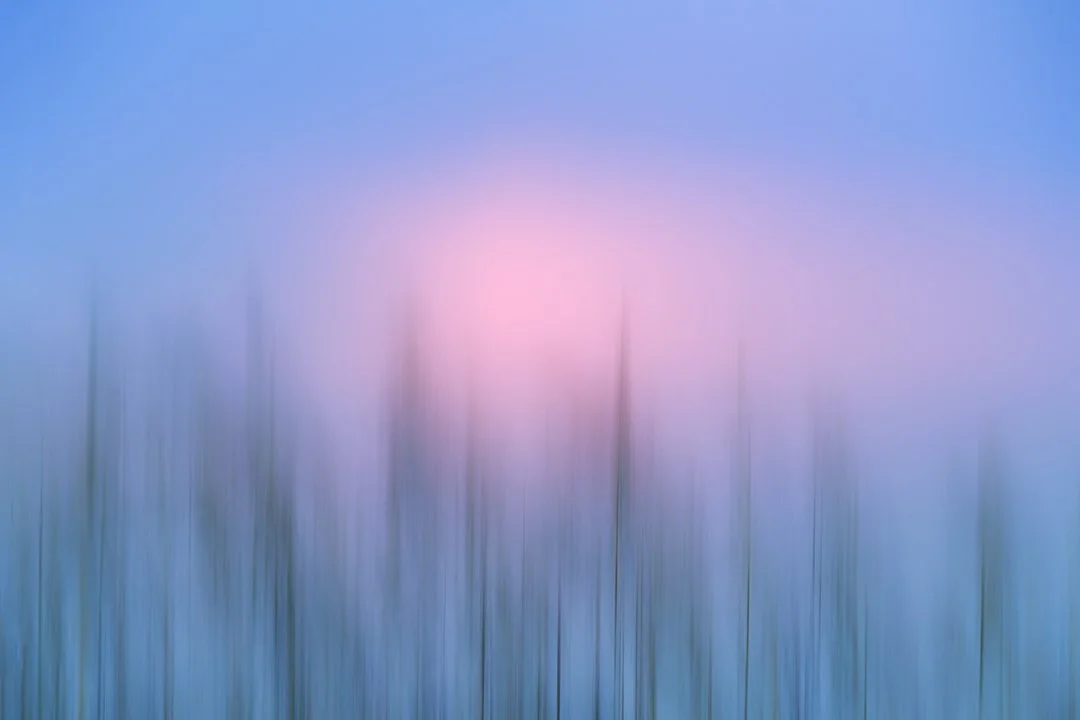 blueseagrass2 copy.jpg