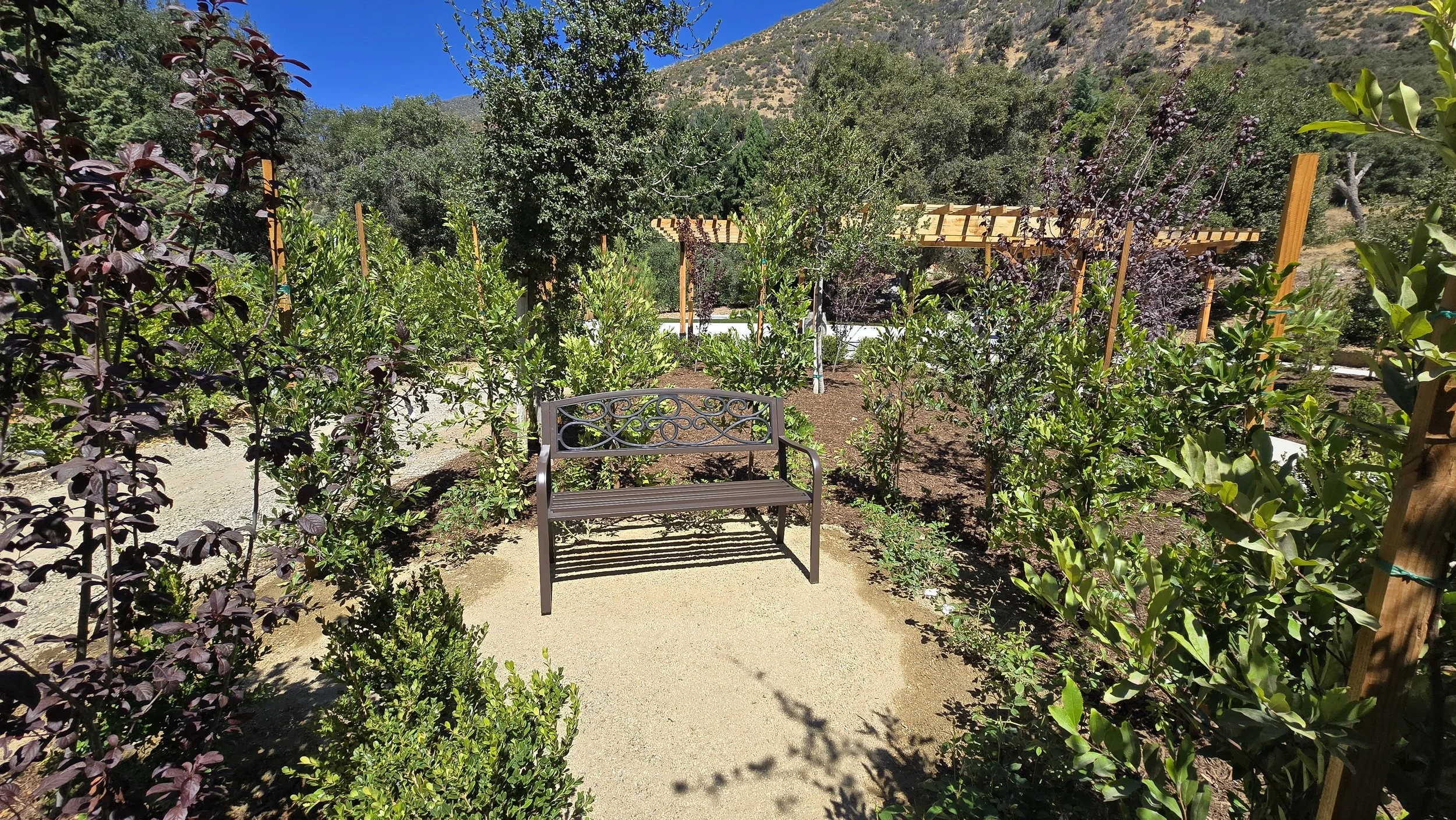 A garden with a black metal bench on a dirt path, surrounded by green bushes and small trees, with wooden trellises in the background, mountainous terrain, and a clear blue sky.