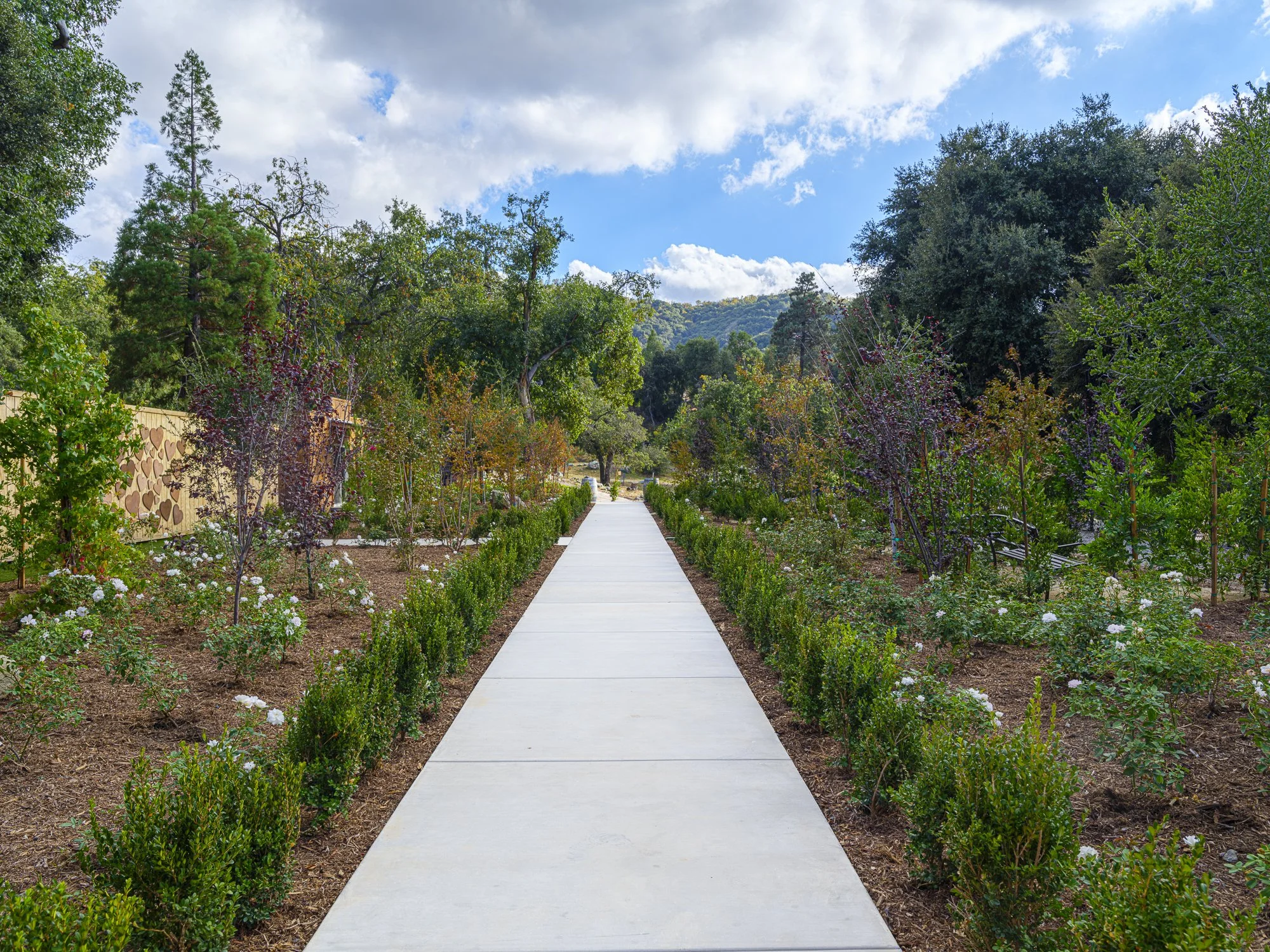 A paved walkway through a lush garden with trees, bushes, and flowers, with a blue sky and white clouds overhead.