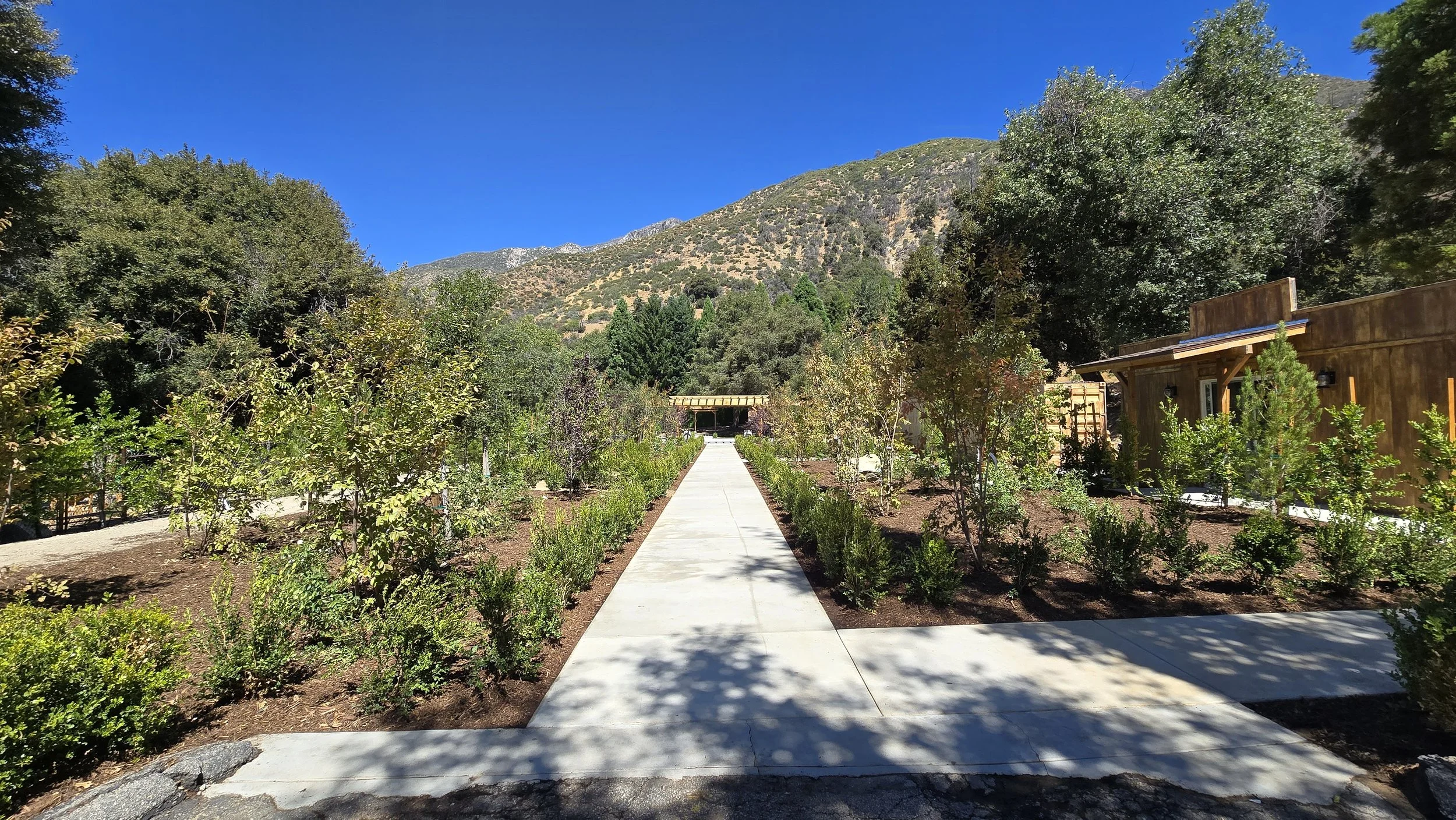 A concrete pathway leading through a landscaped area with trees and bushes, with mountains in the background and a clear blue sky overhead.