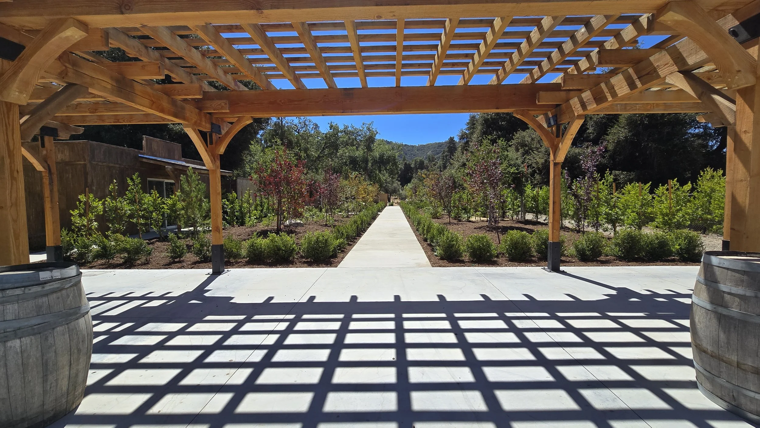 A sunny outdoor scene with a wooden pergola casting patterned shadows on a paved walkway, flanked by landscaped bushes and small trees, with a backdrop of hills and a clear blue sky.