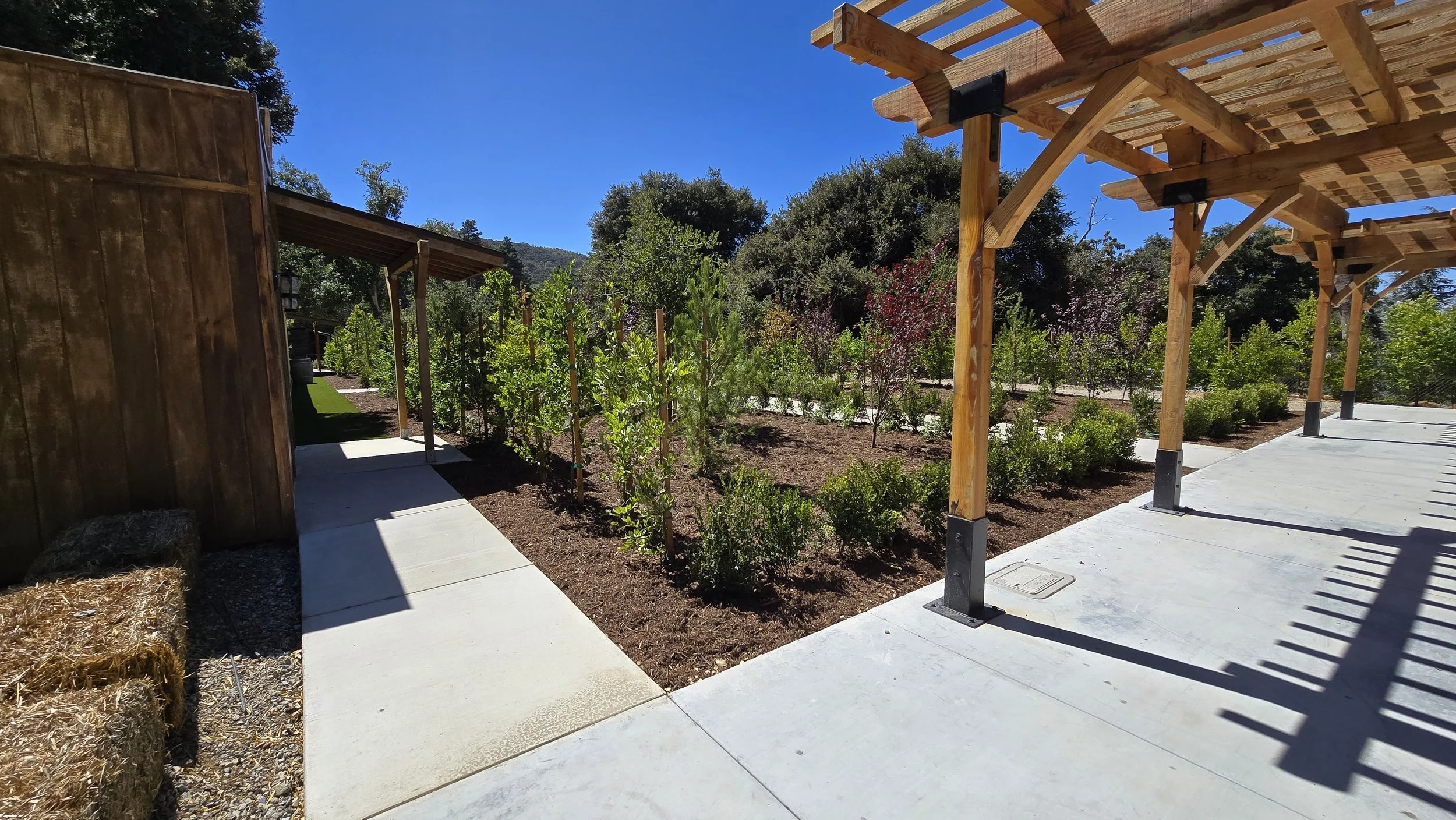 Pathway next to a garden with small trees and shrubs, wooden structures with shade over the patio area, and hay bales on the ground, under a clear blue sky.