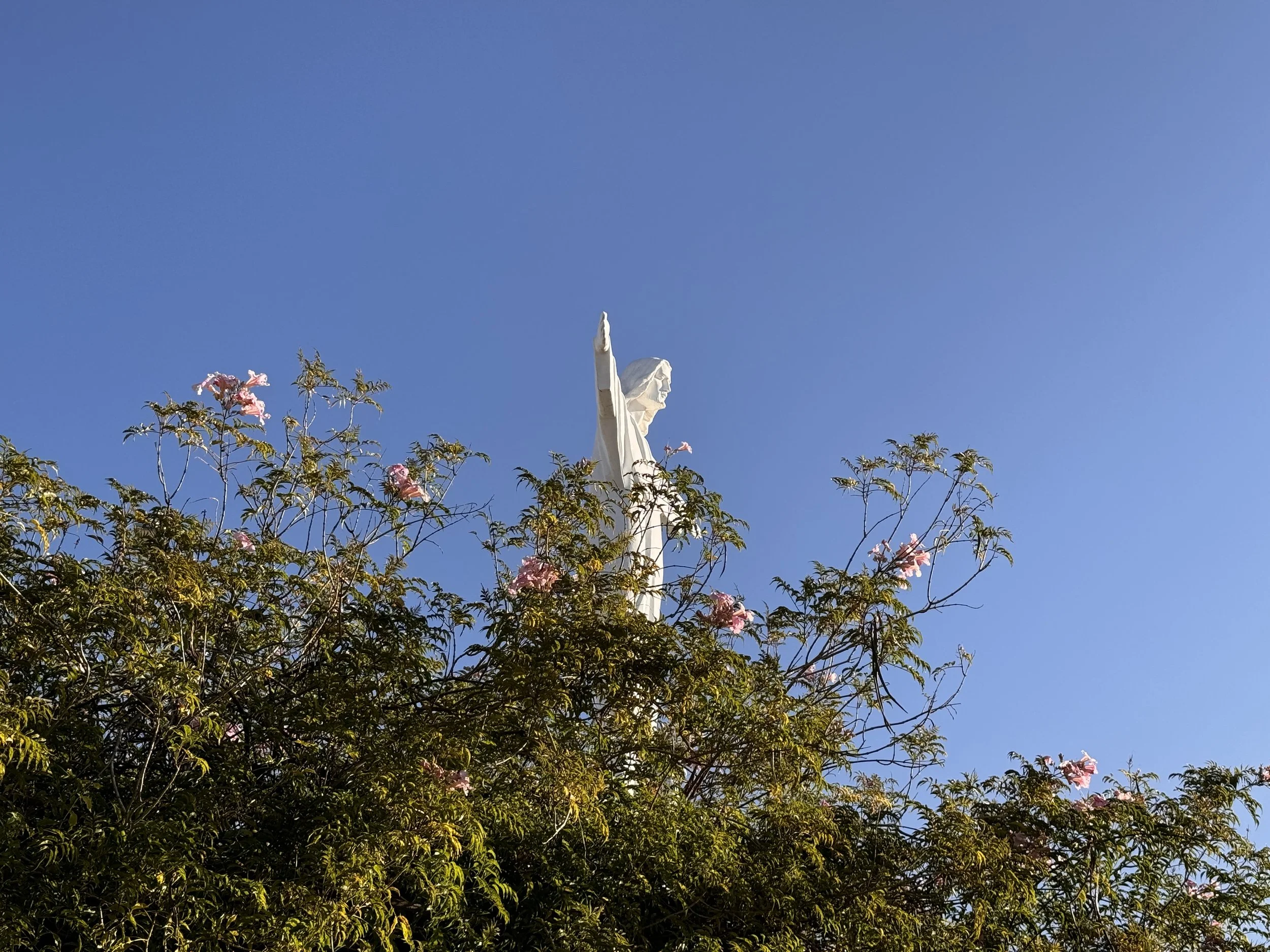 IMG_0444.jpeg