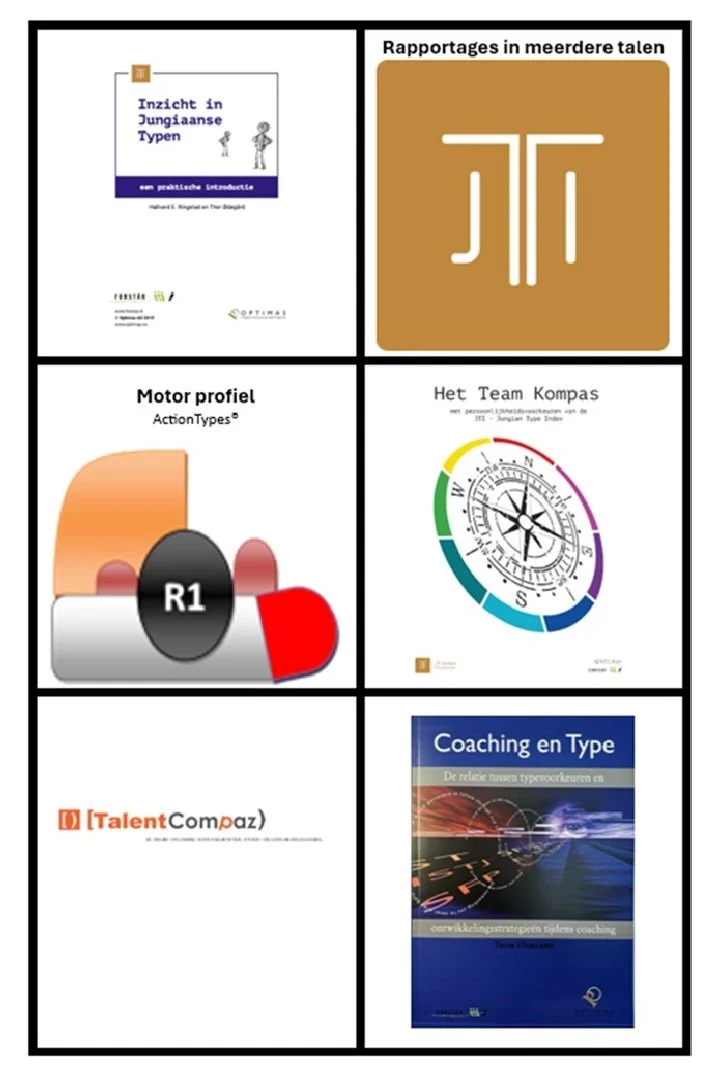 Een collage van zes boekcovers en rapporten over verschillende onderwerpen, waaronder Jungiaanse types, rapportages in meerdere talen, motorprofiel, het team Kompas, talenten en coaching en types.