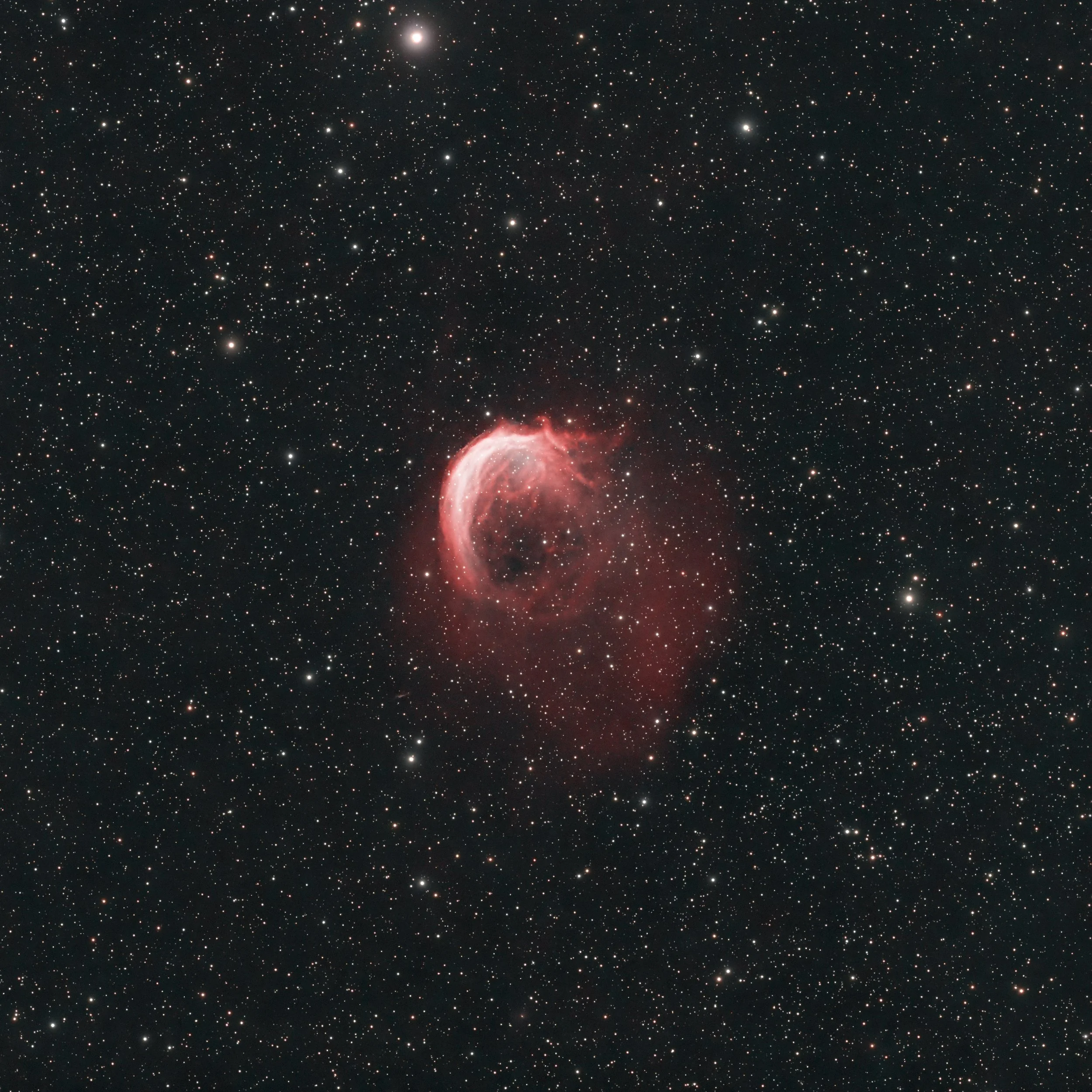 Shrimp Nebula