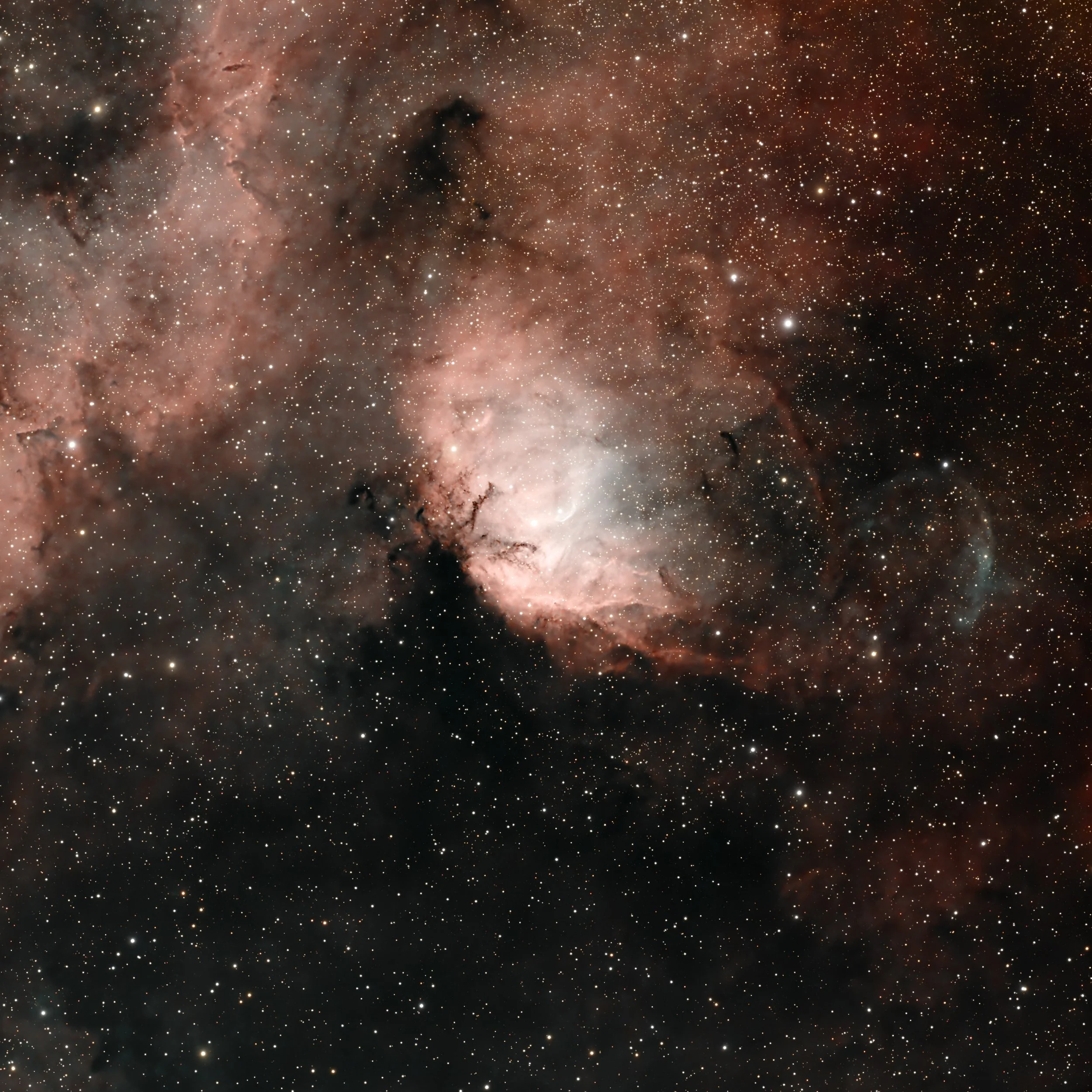 Tulip Nebula