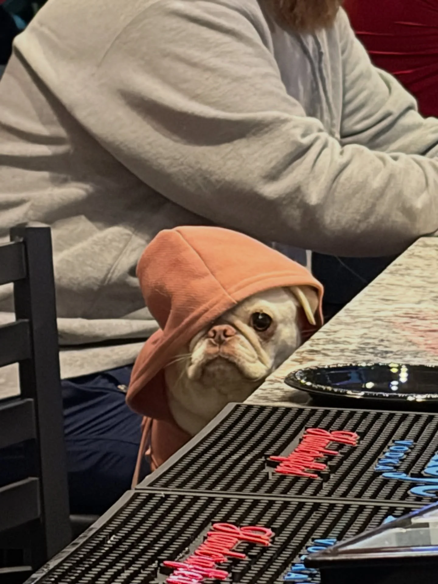 When you&rsquo;re trying to act casual but you ordered one too many pup cups🐾