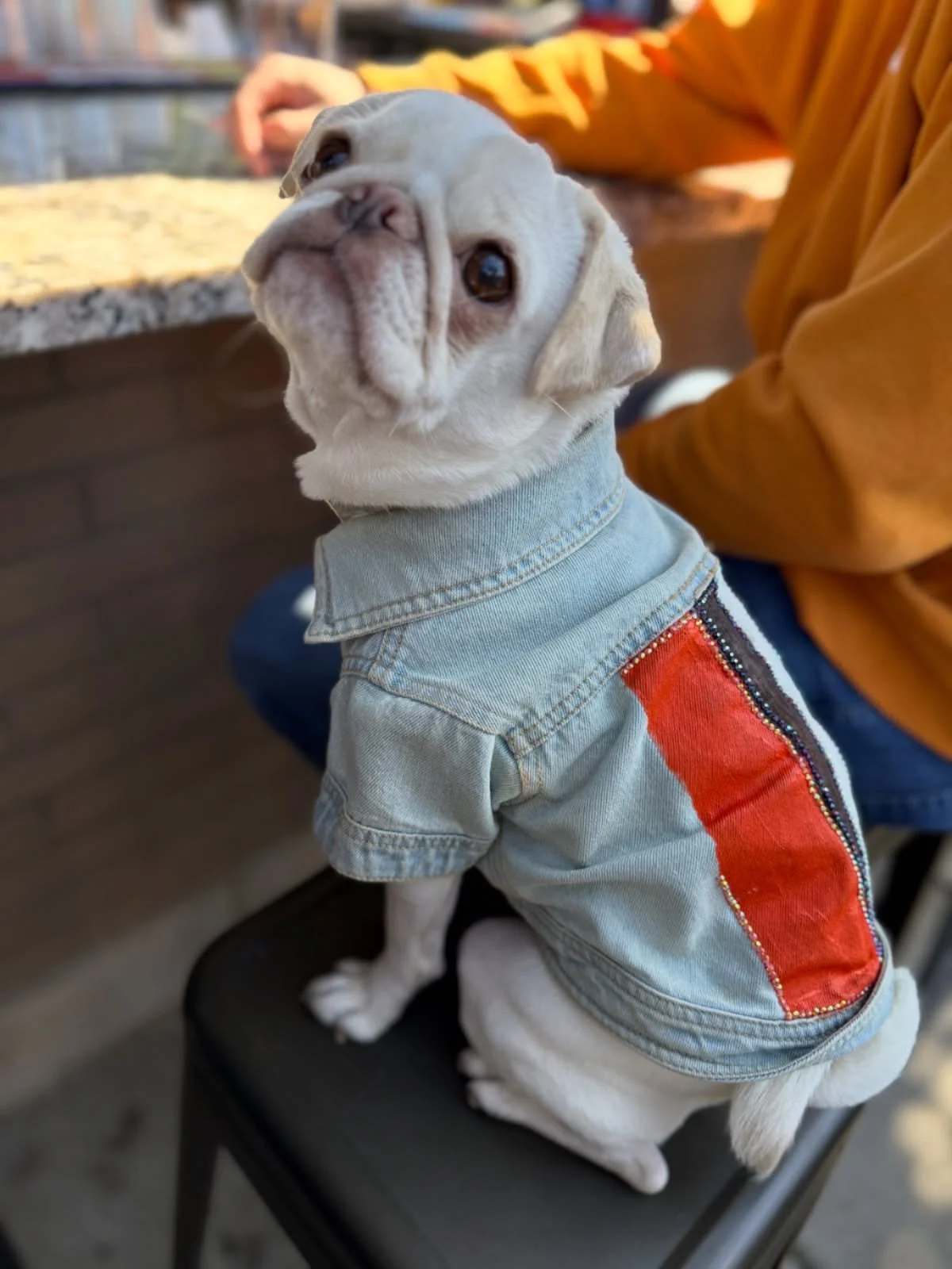 @truckpark_tina is repping today!🏈🧡🤎