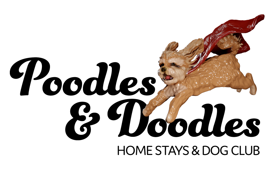 Poodles &amp; Doodles Home Stays