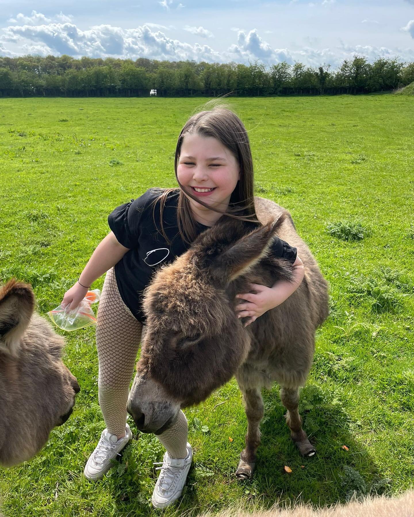 Fairfield Farm Project Donkeys love a cuddle and visitor&hellip;..don&rsquo;t forget to bring 🥕 🍎