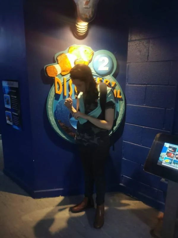 IMG-20191008-WA0008-286c4ca.jpg