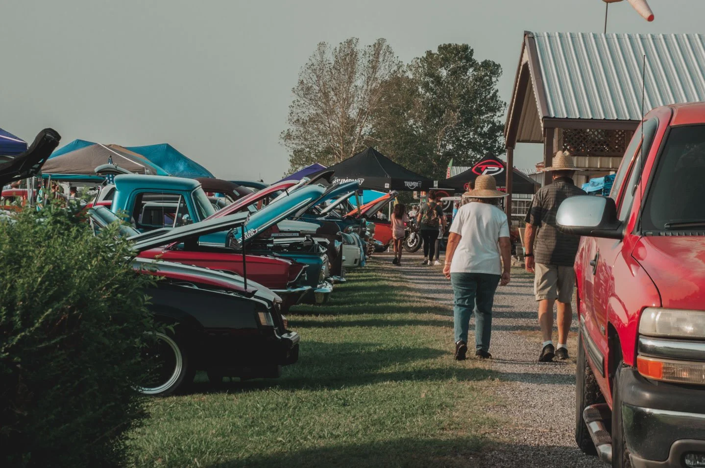 DSC_0186.jpeg