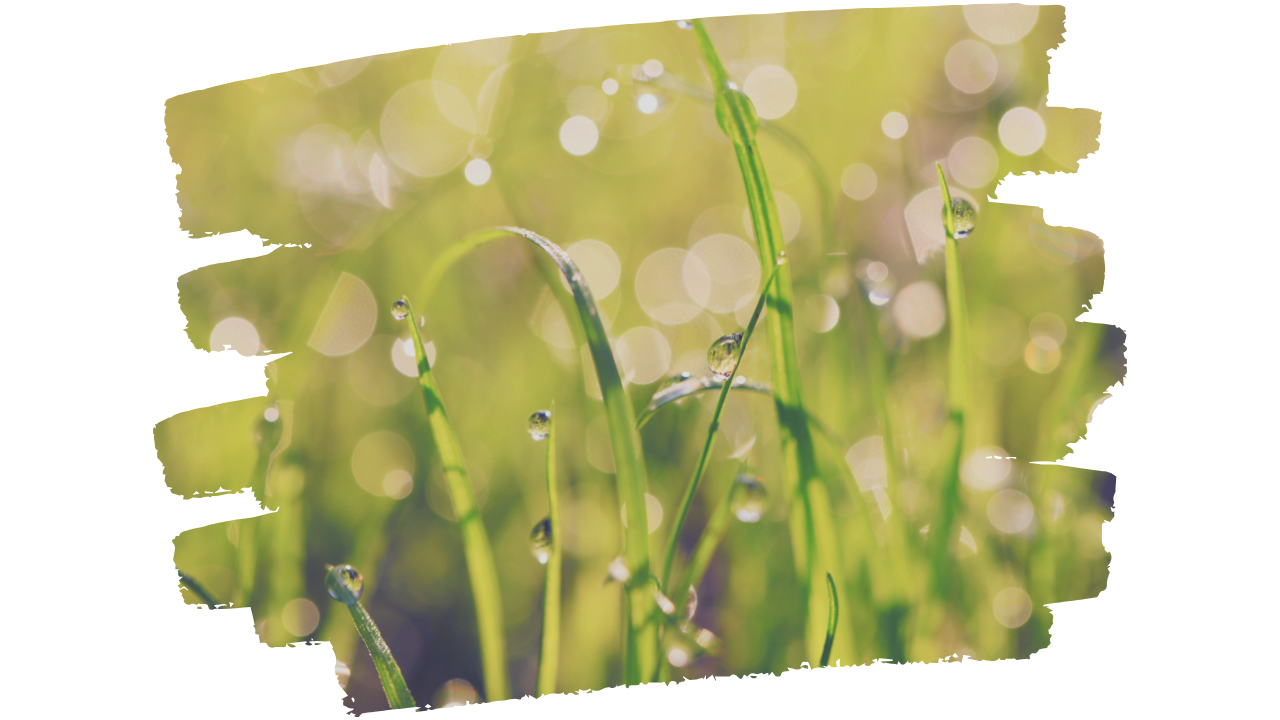 WHY AWARENESS COMES FIRST | The Overlooked Foundation of Real Change